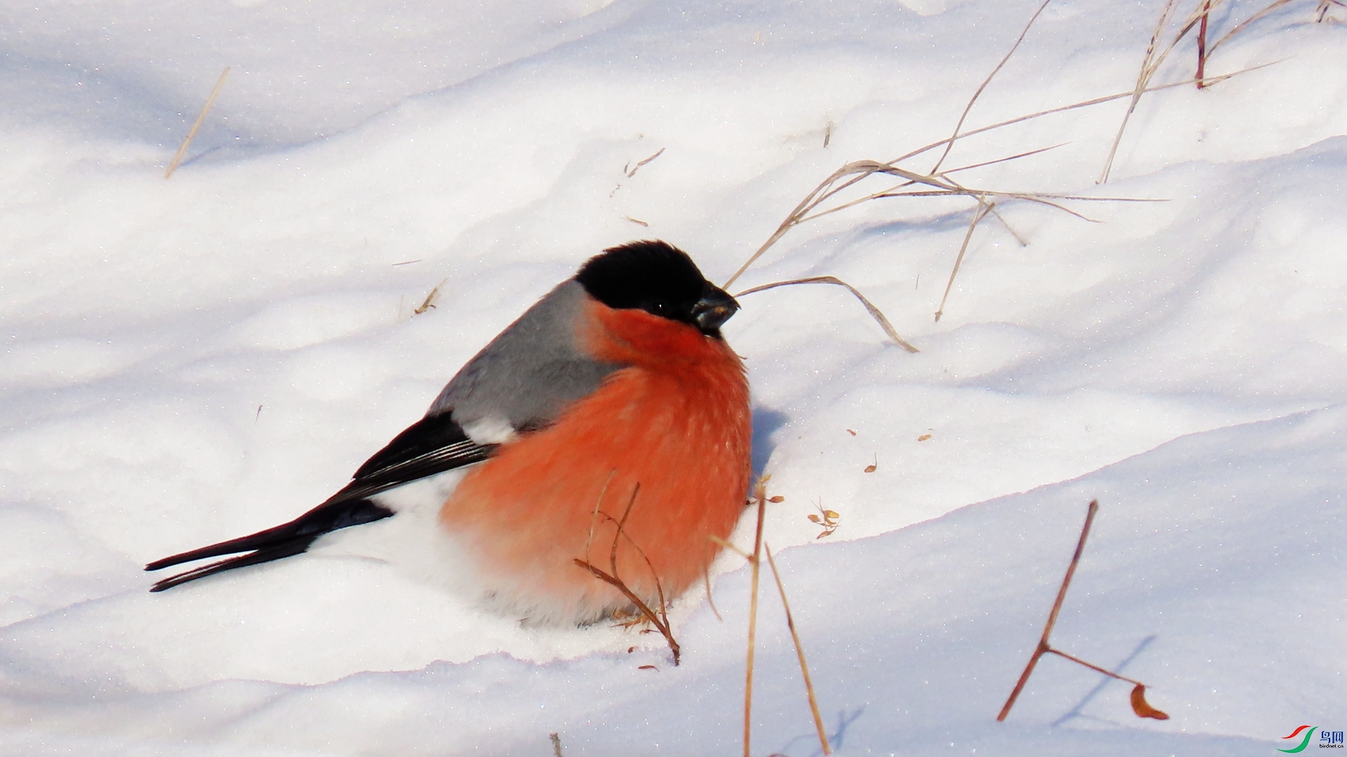 IMG_8152.JPG