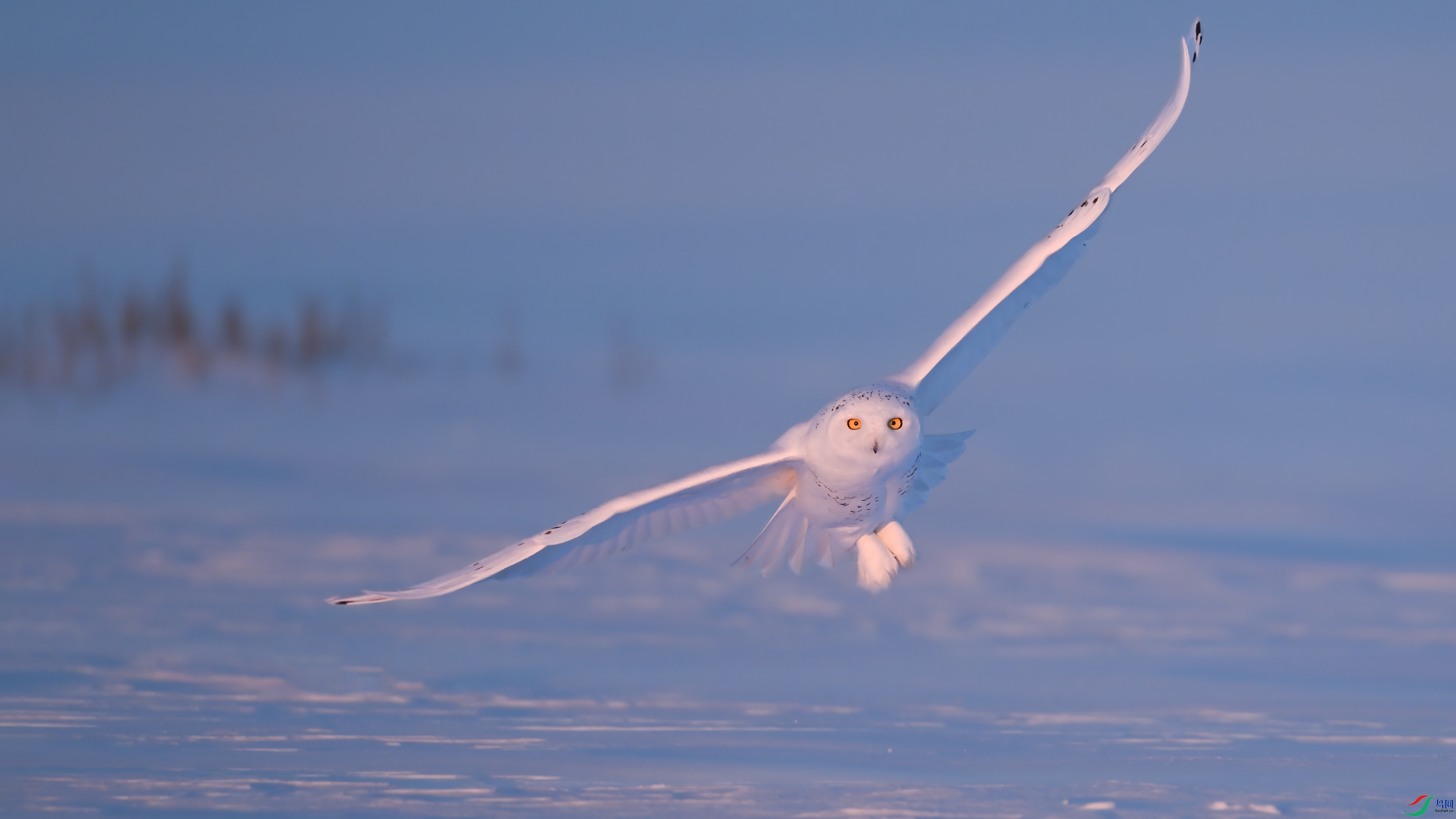 ѩ�^DSC_7109.jpg