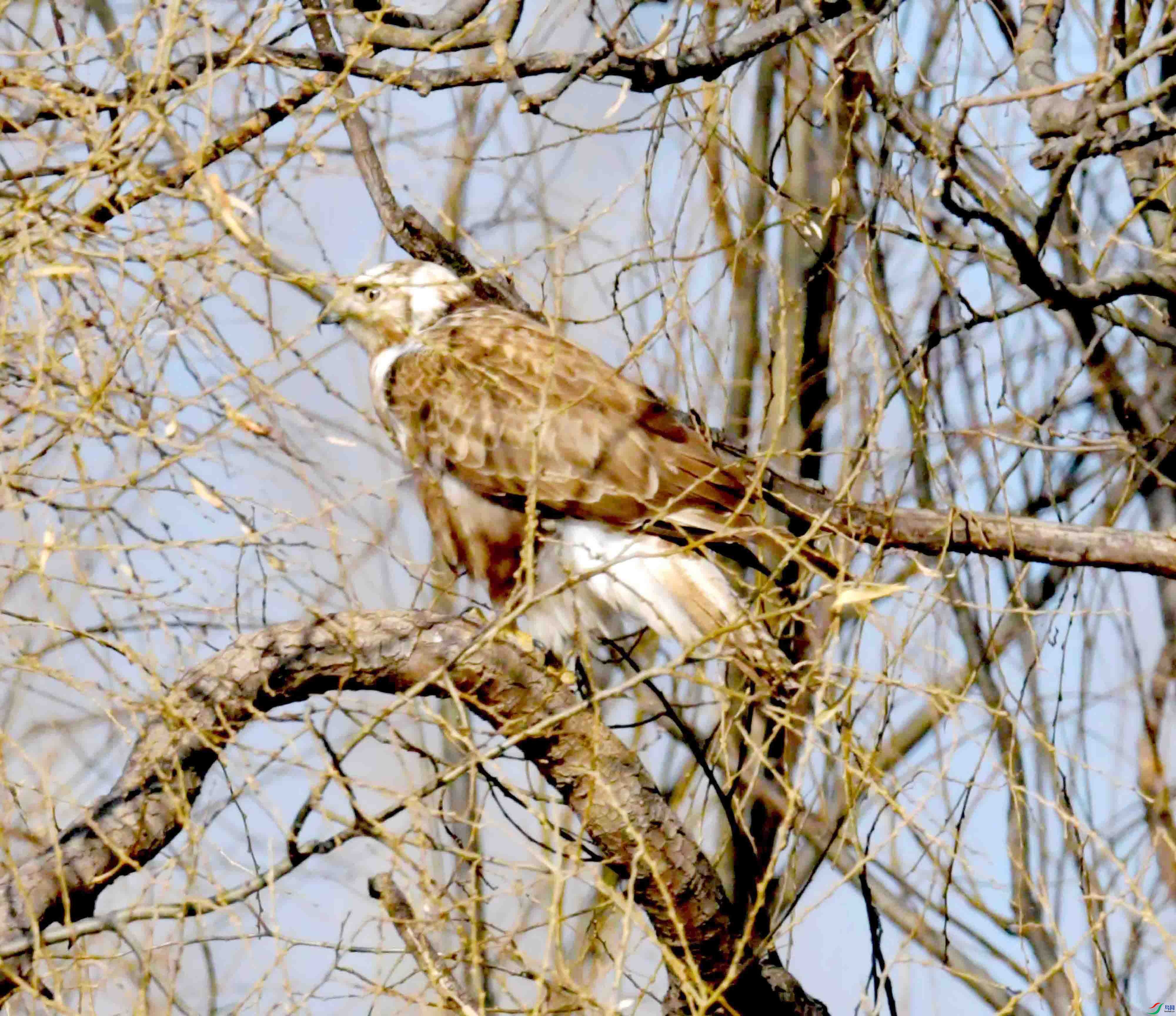 DSC_2968.JPG