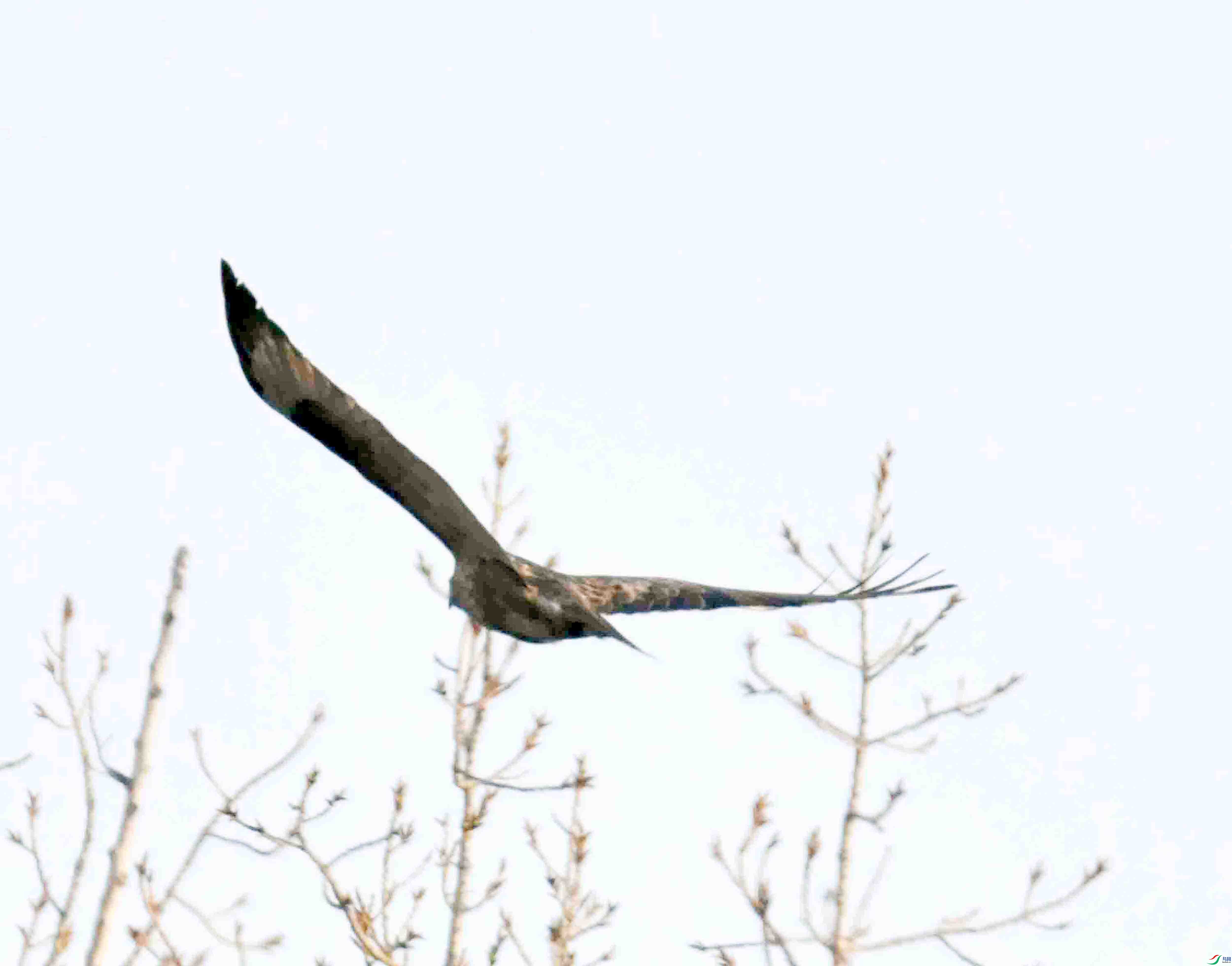 DSC_9638.JPG