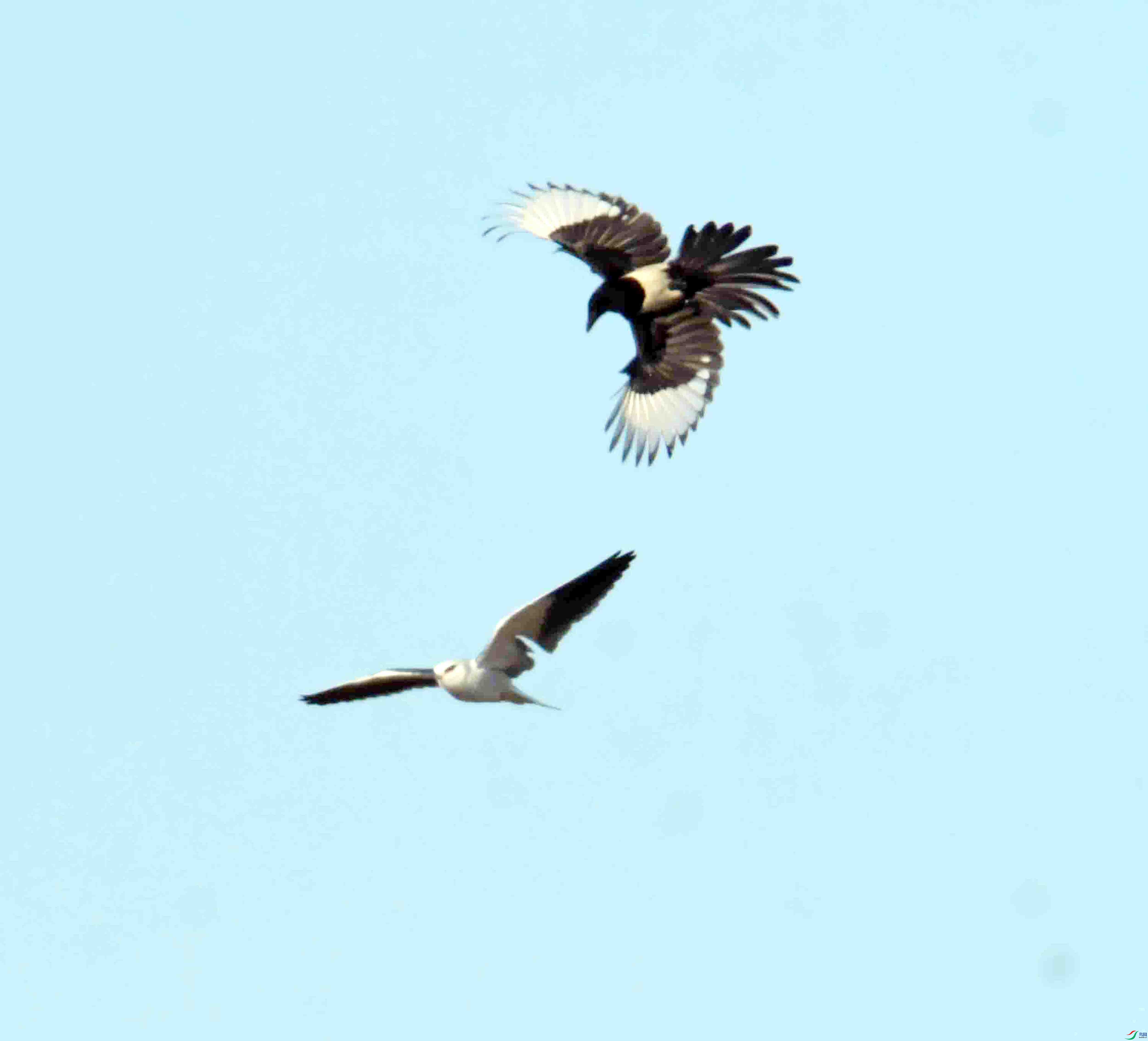 DSC_1115.JPG