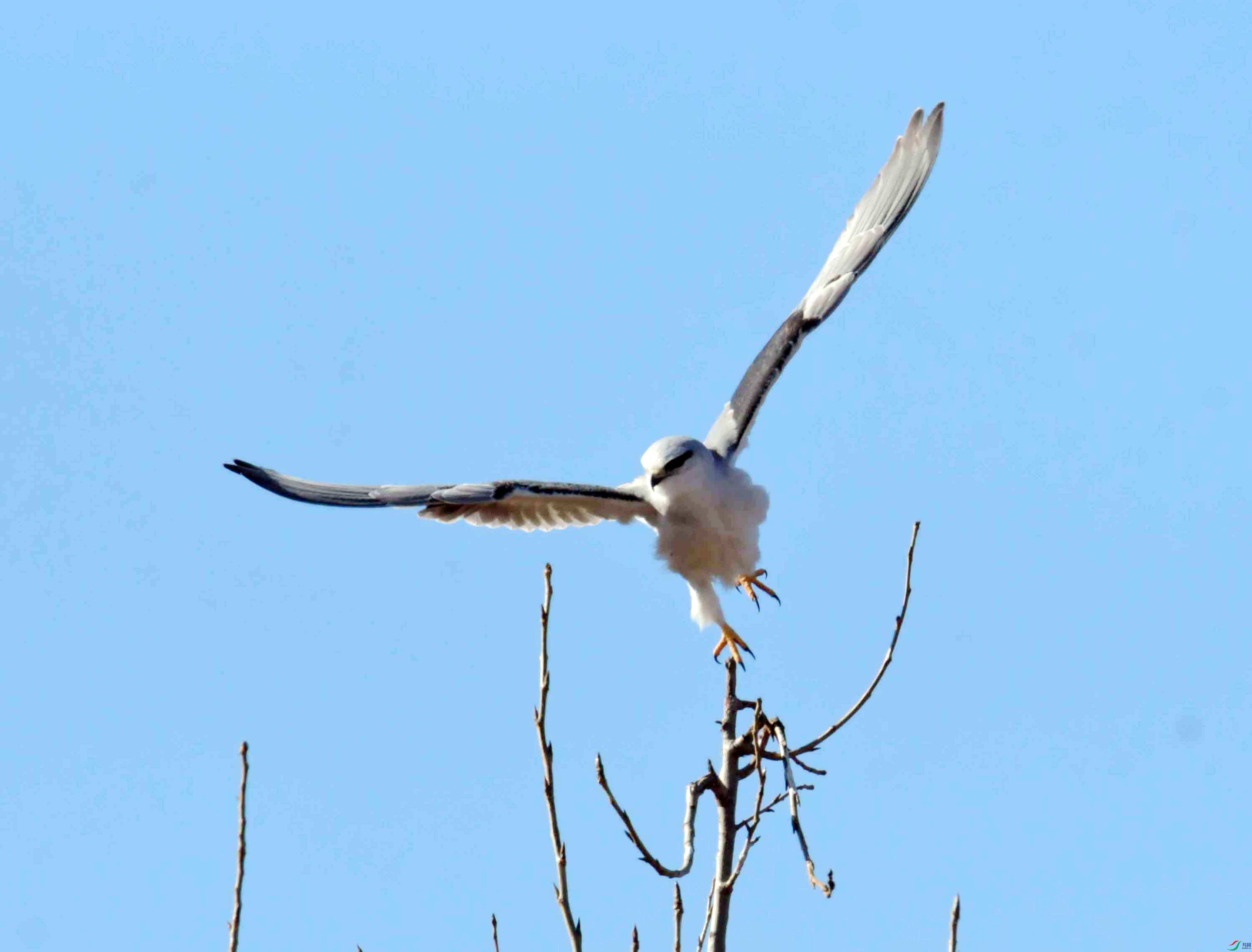 DSC_4279.JPG
