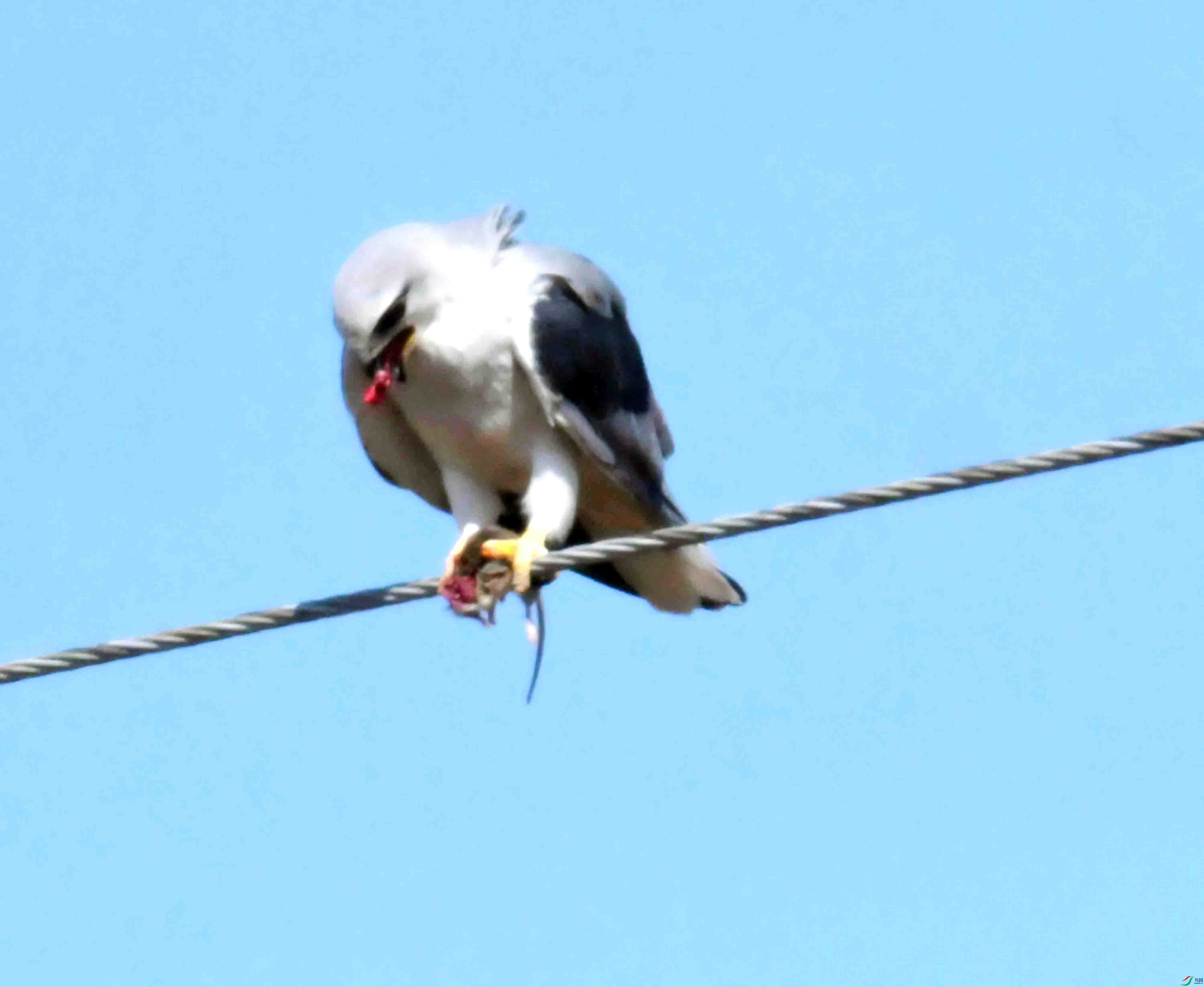 DSC_8388.JPG