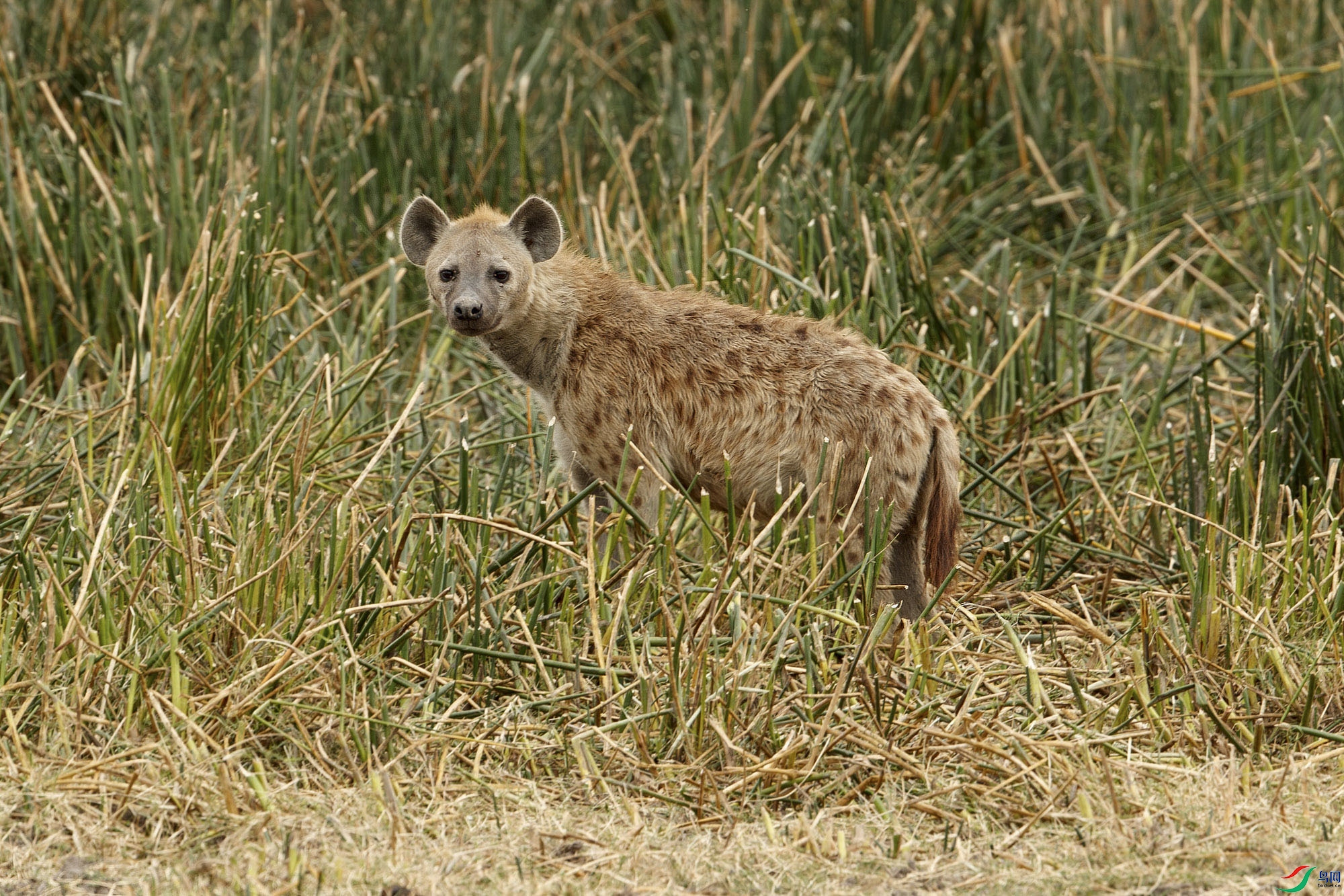 AQ9I6606.jpg