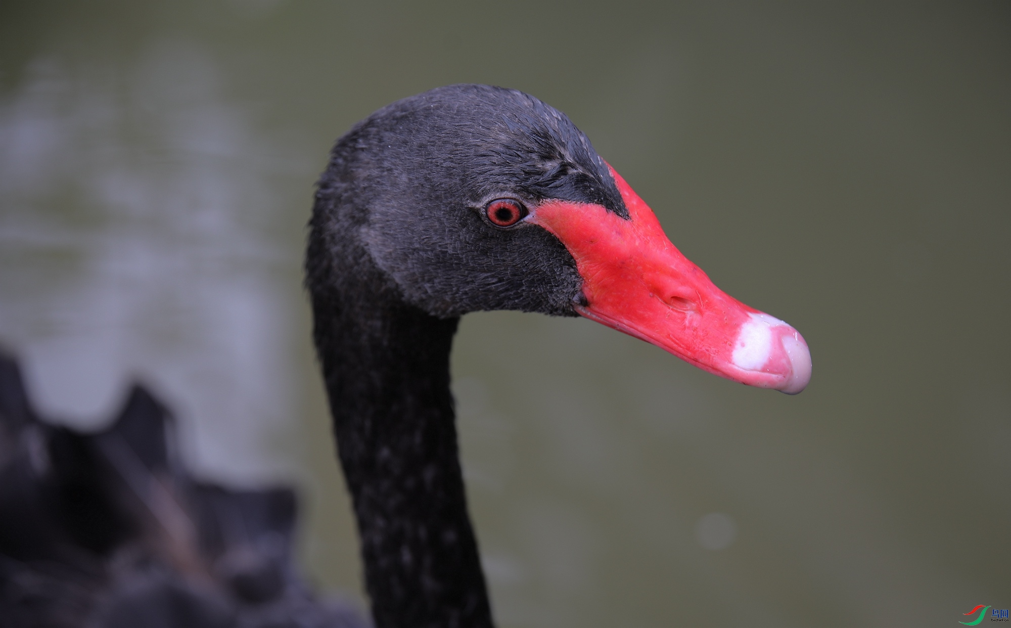 �������д