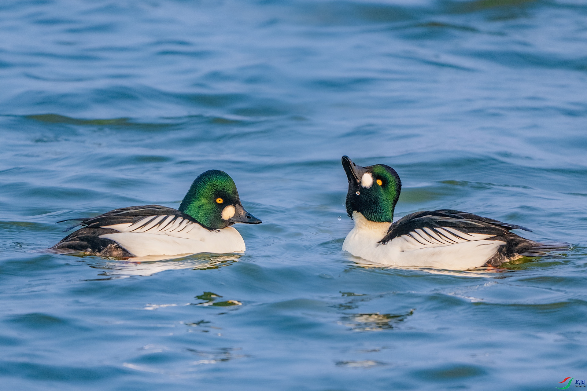 _DSC7232 ����С.jpg