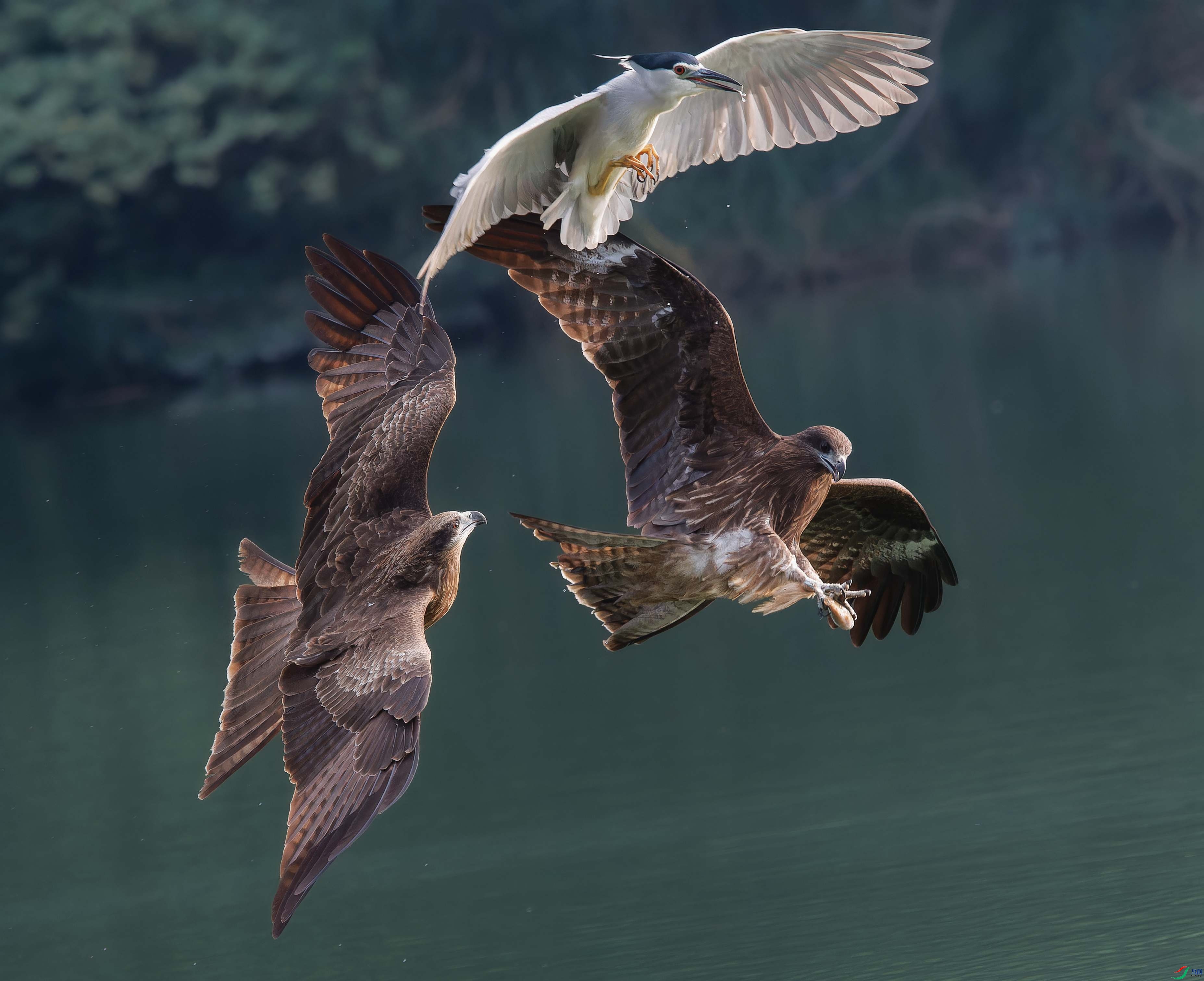 P1080150-ORF_DxO_DeepPRIMEXD_����.jpg
