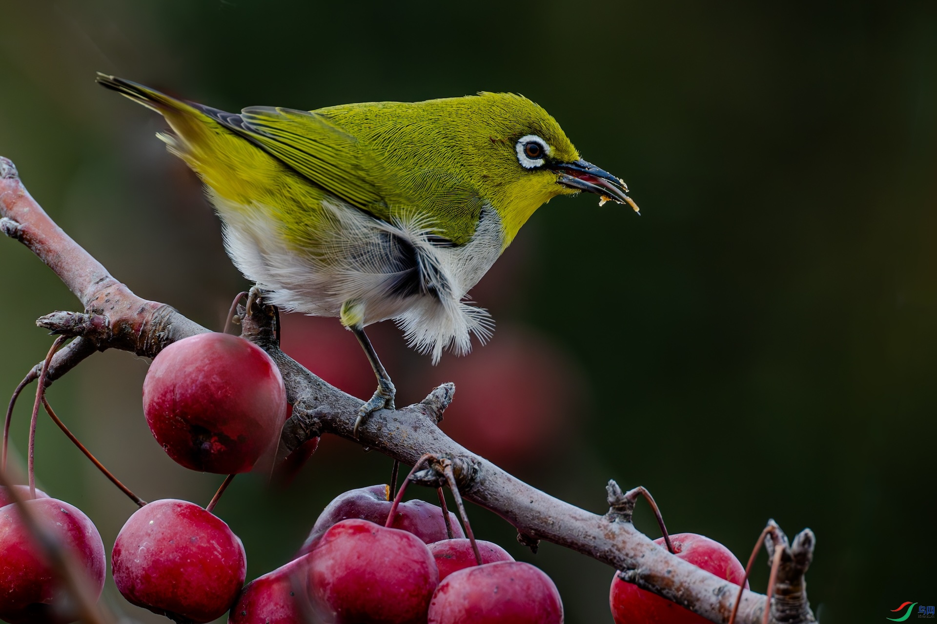 DSC_7628_����.jpg