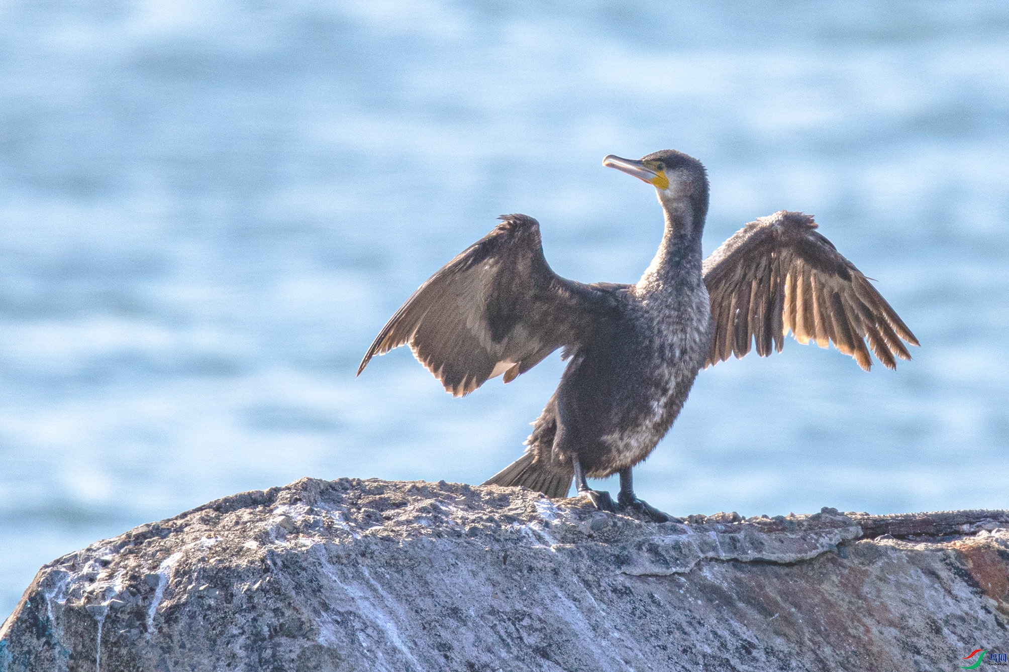 _90I6934 ���� 2.jpg