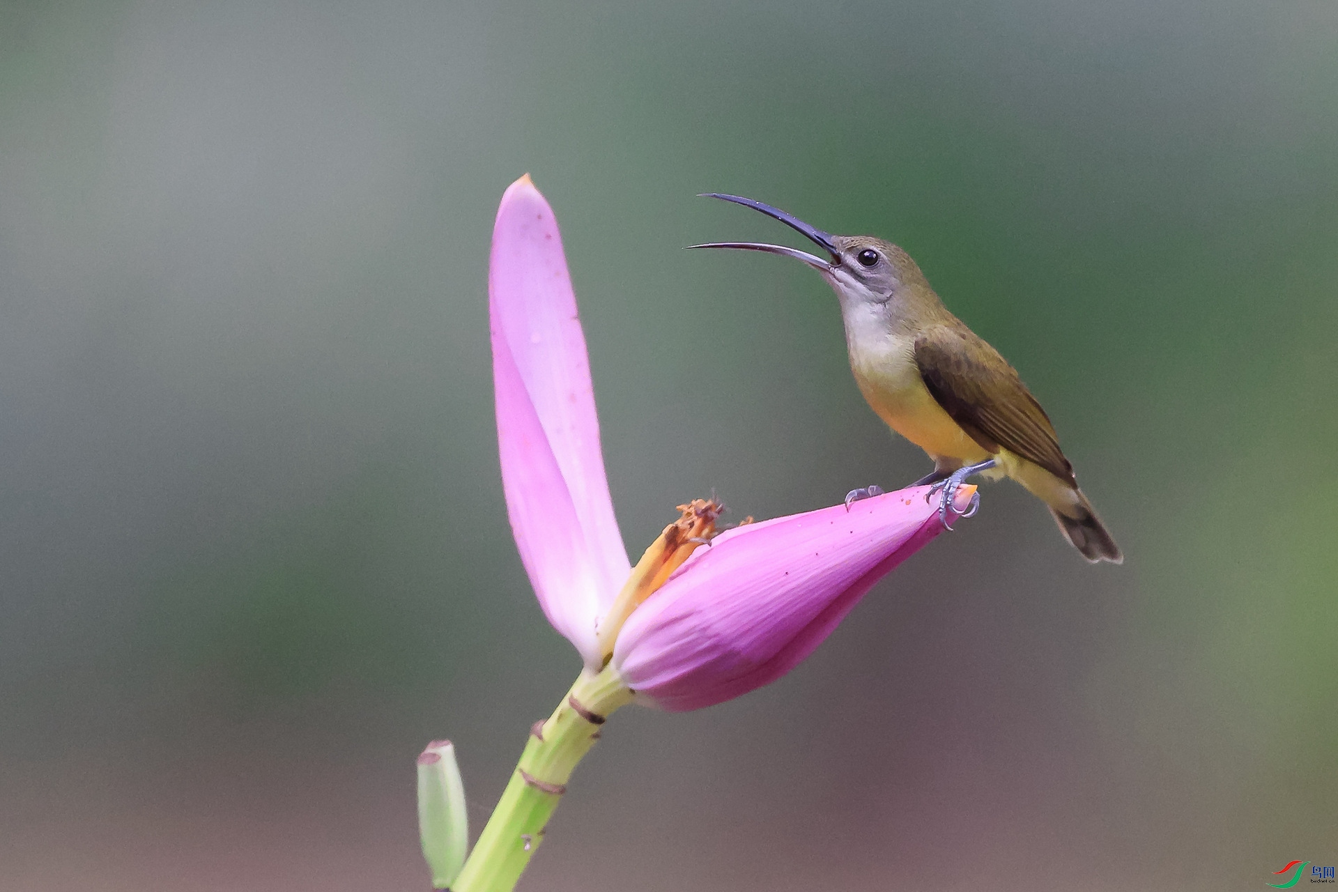 1M6A3089 ����_����.jpg