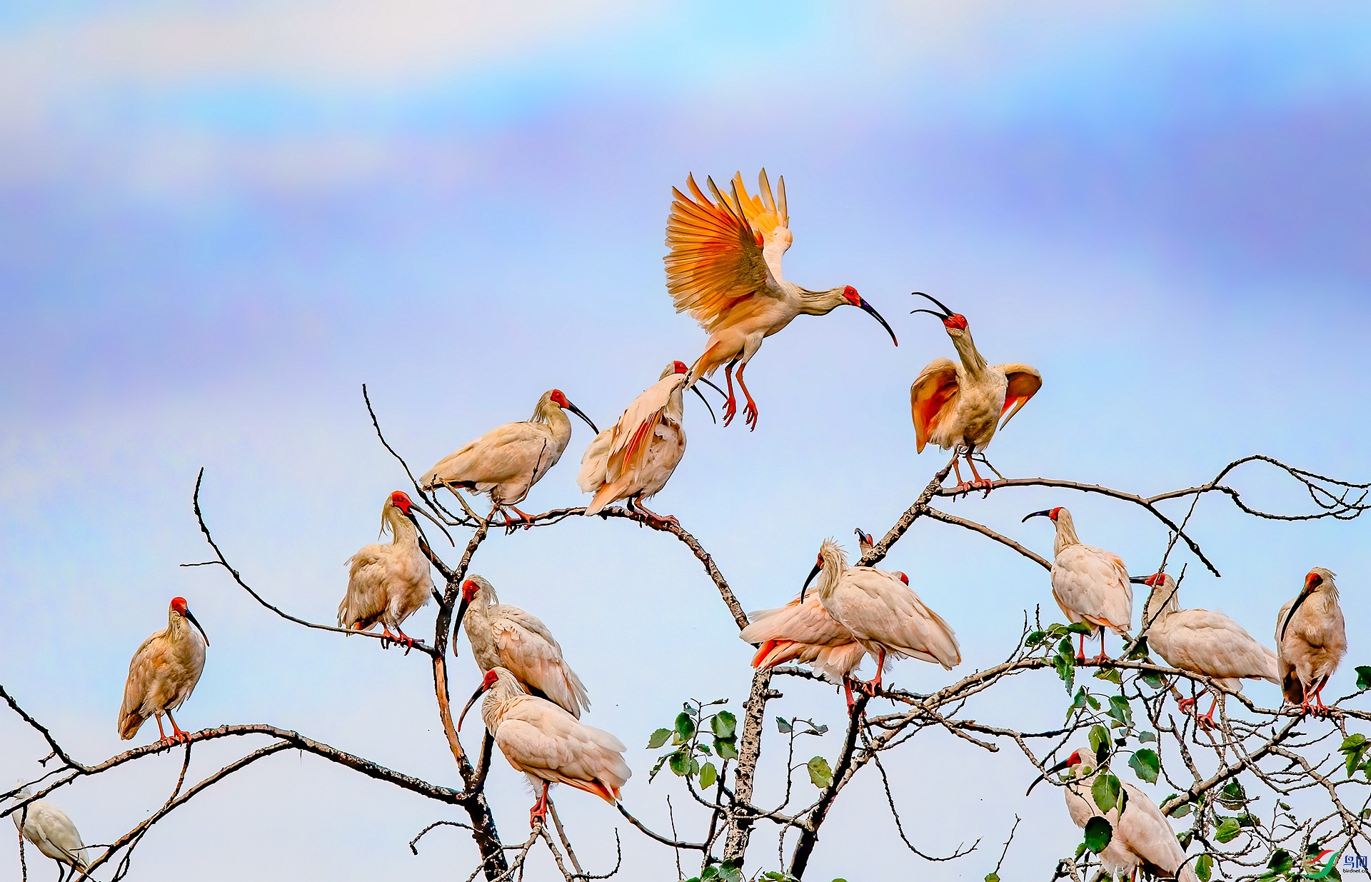 DSC_2607 ����_����.jpg