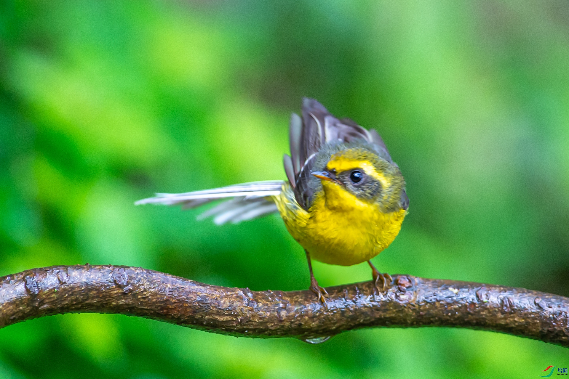 DSC_3924-1.jpg