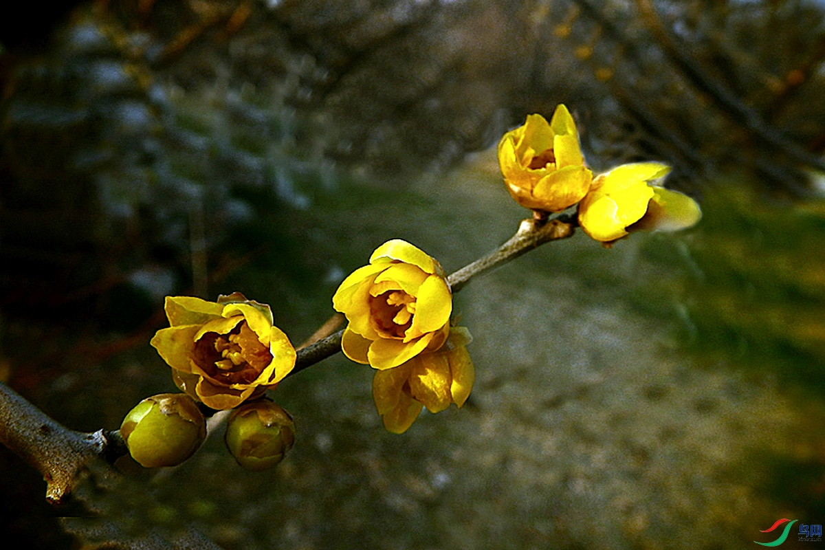 IMG_2458.jpg