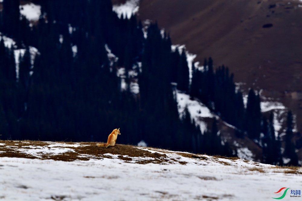 DSC_4296_01.JPG