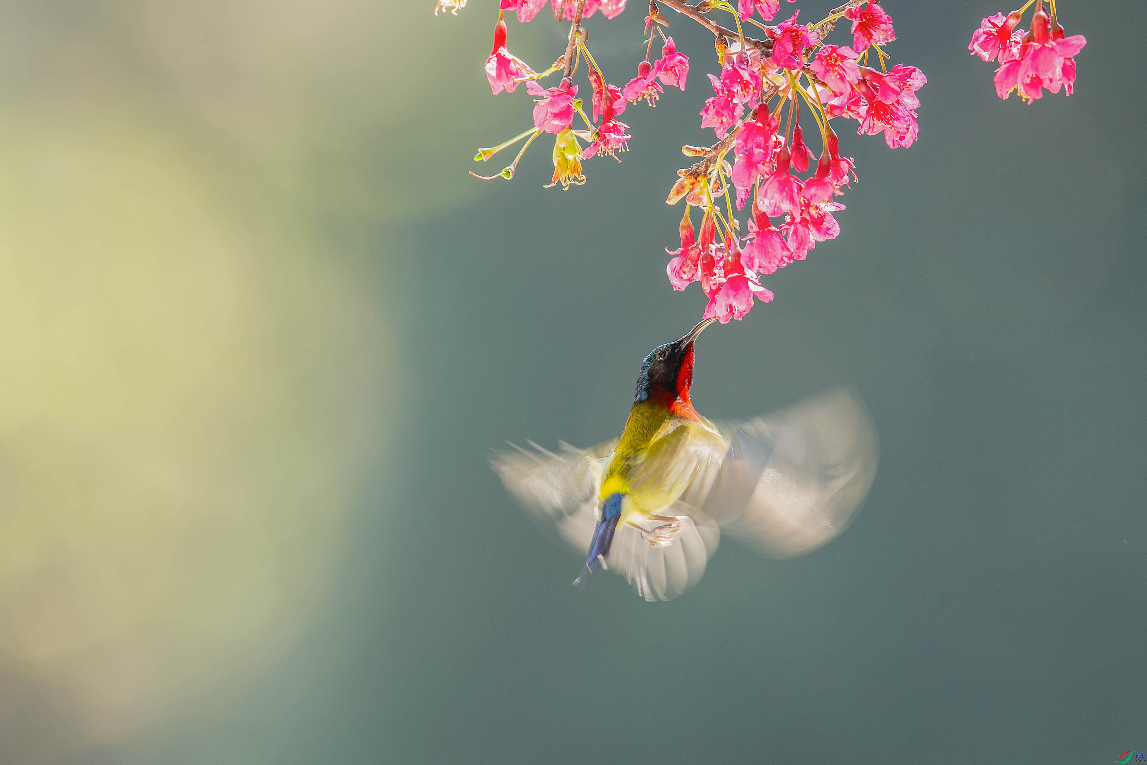 _R9W5977 ����222 ����.jpg