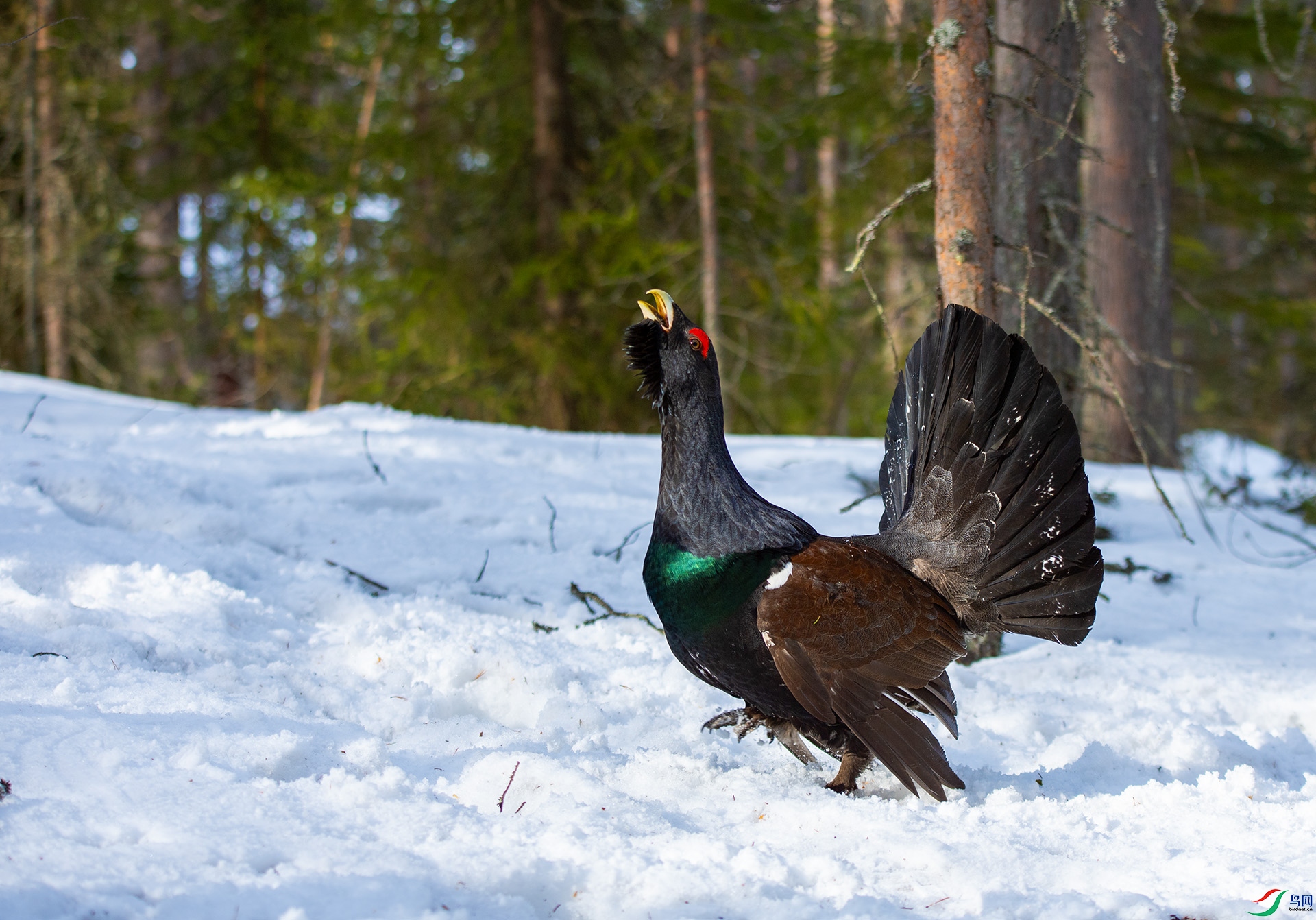 ��DSC_3986 ��ؐ.jpg