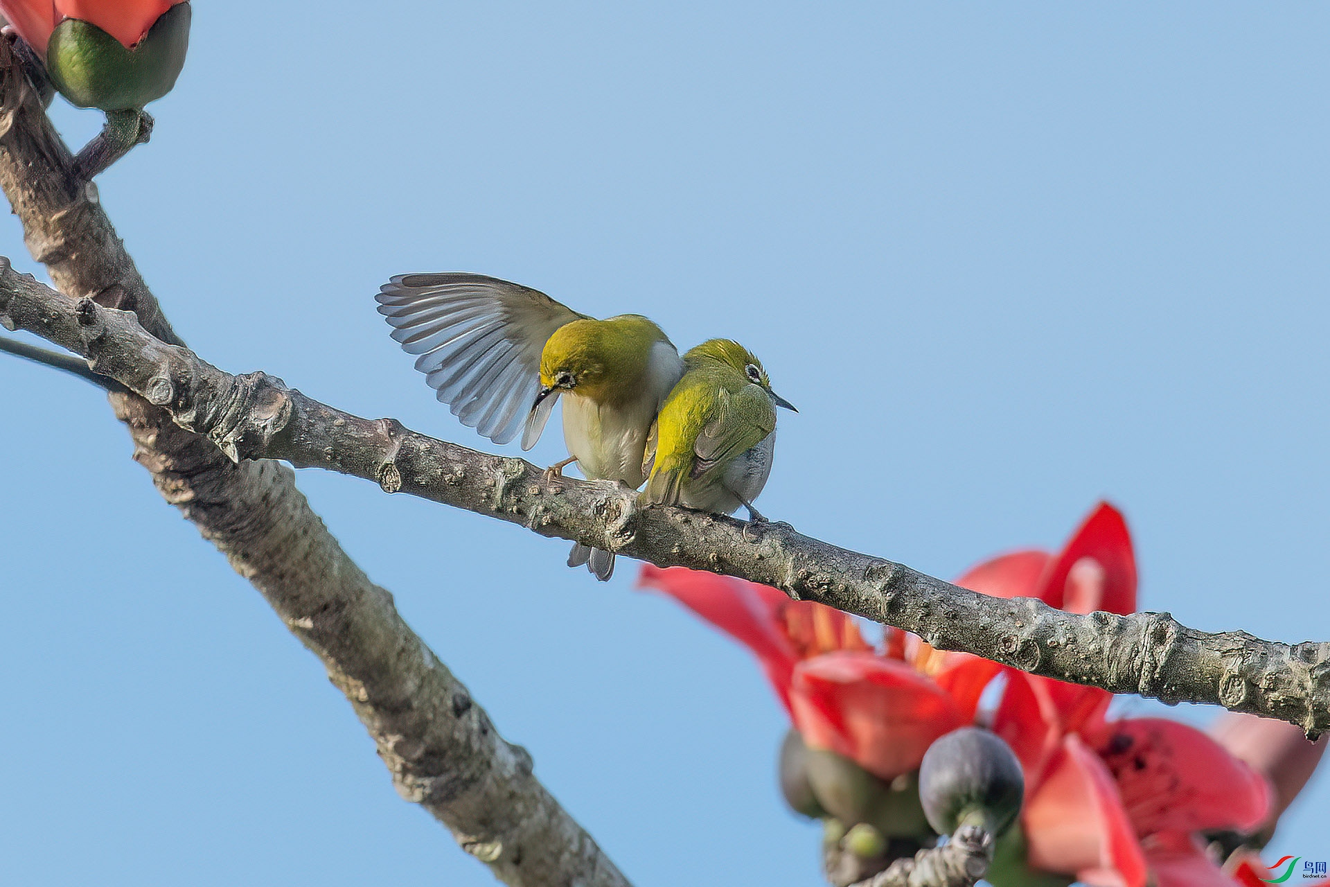 DSC_7181.jpg