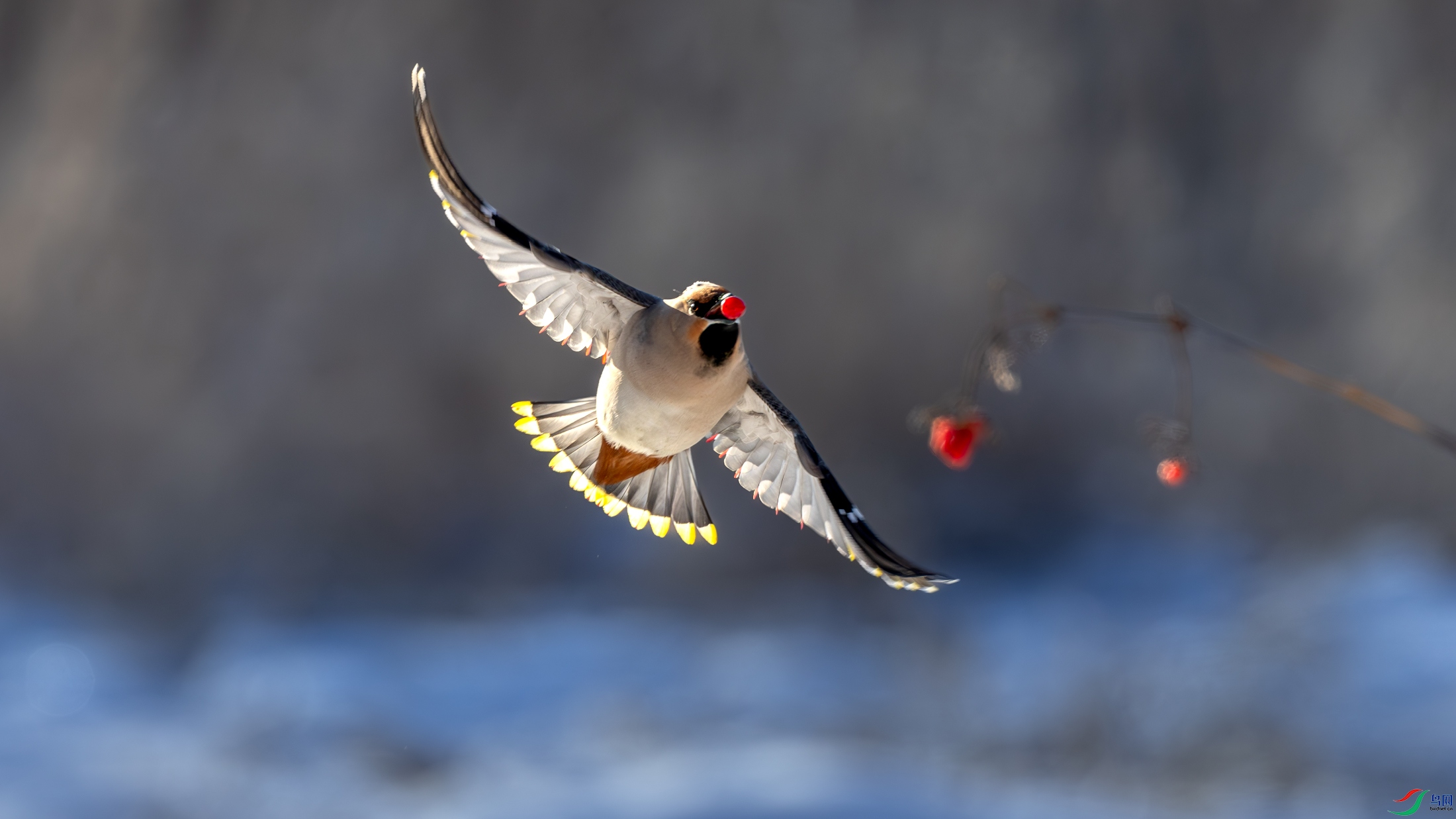 6C3A4587-����ǿ-NR.jpg