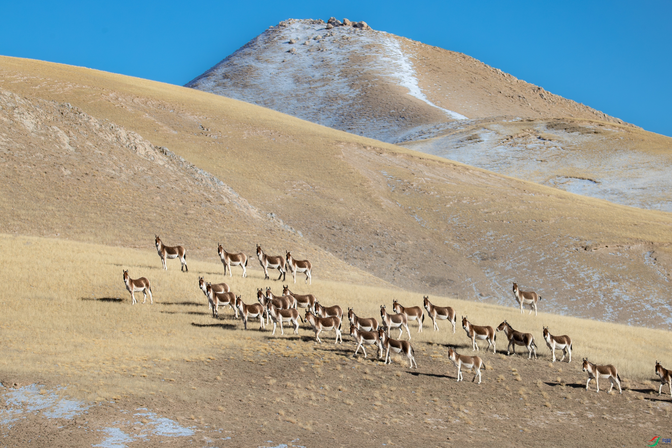 A15I0848-����ǿ-NR ����.jpg