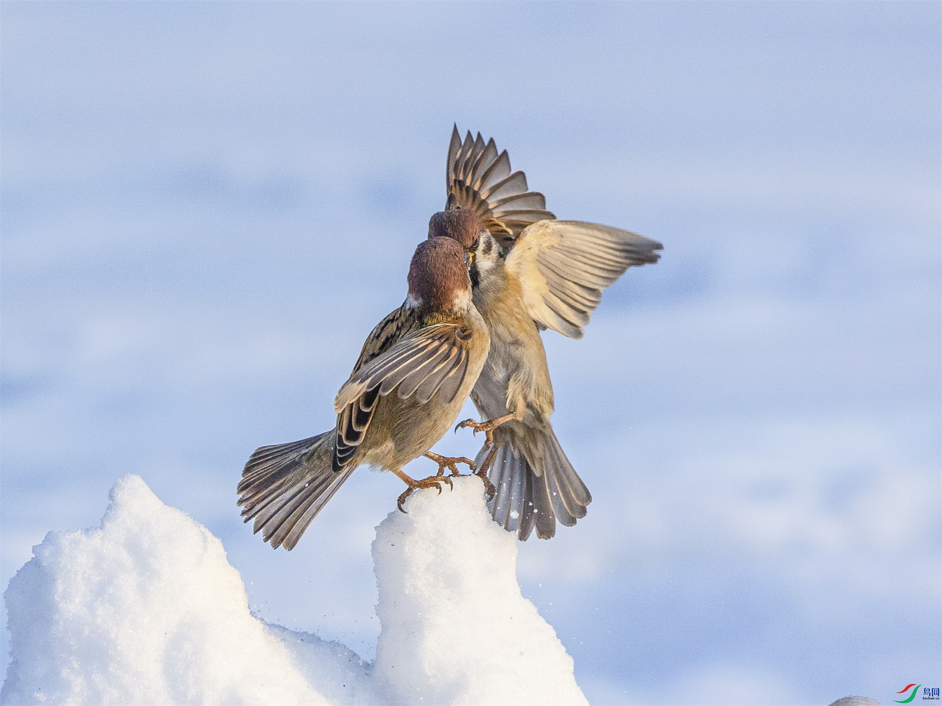 1K3A7829 ����1.jpg