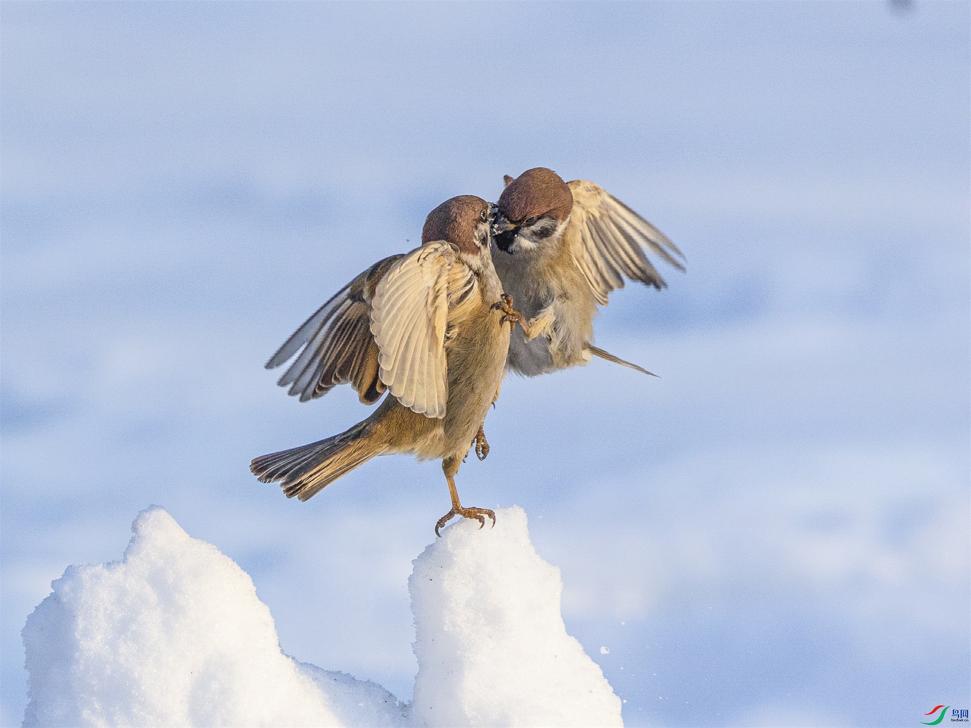 1K3A7830 ����1.jpg