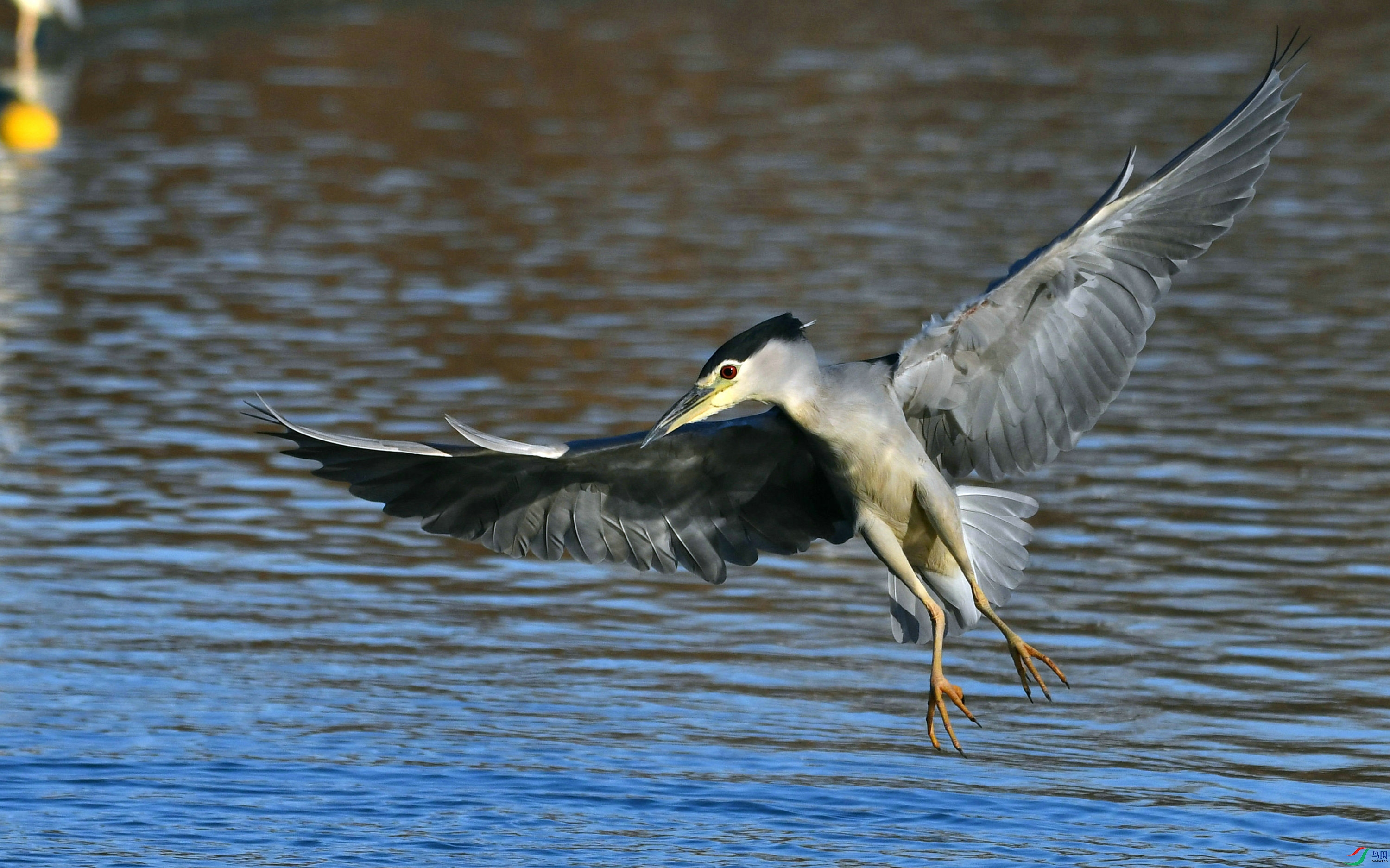 DSC_1085.JPG