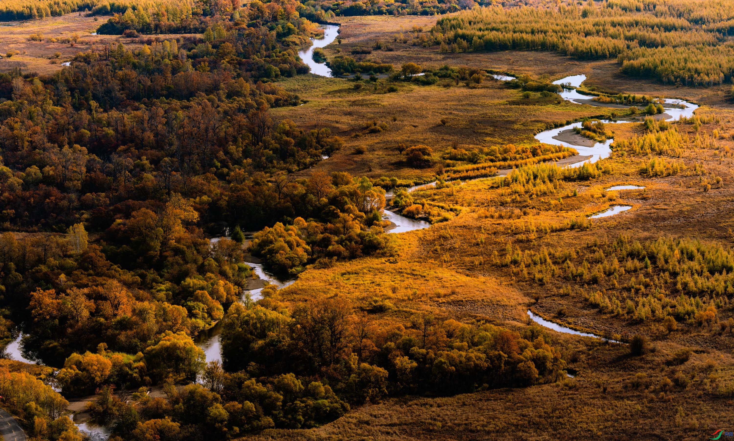 ʪ������