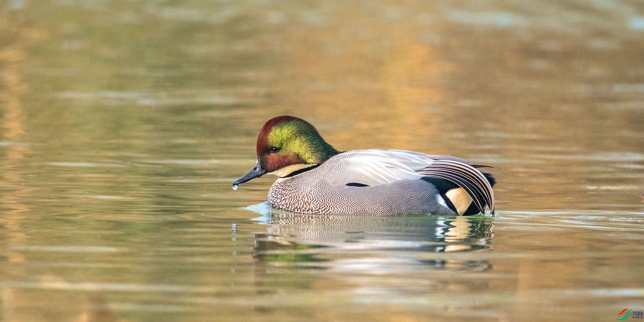 ��ʰ�쵵�����Ѽ