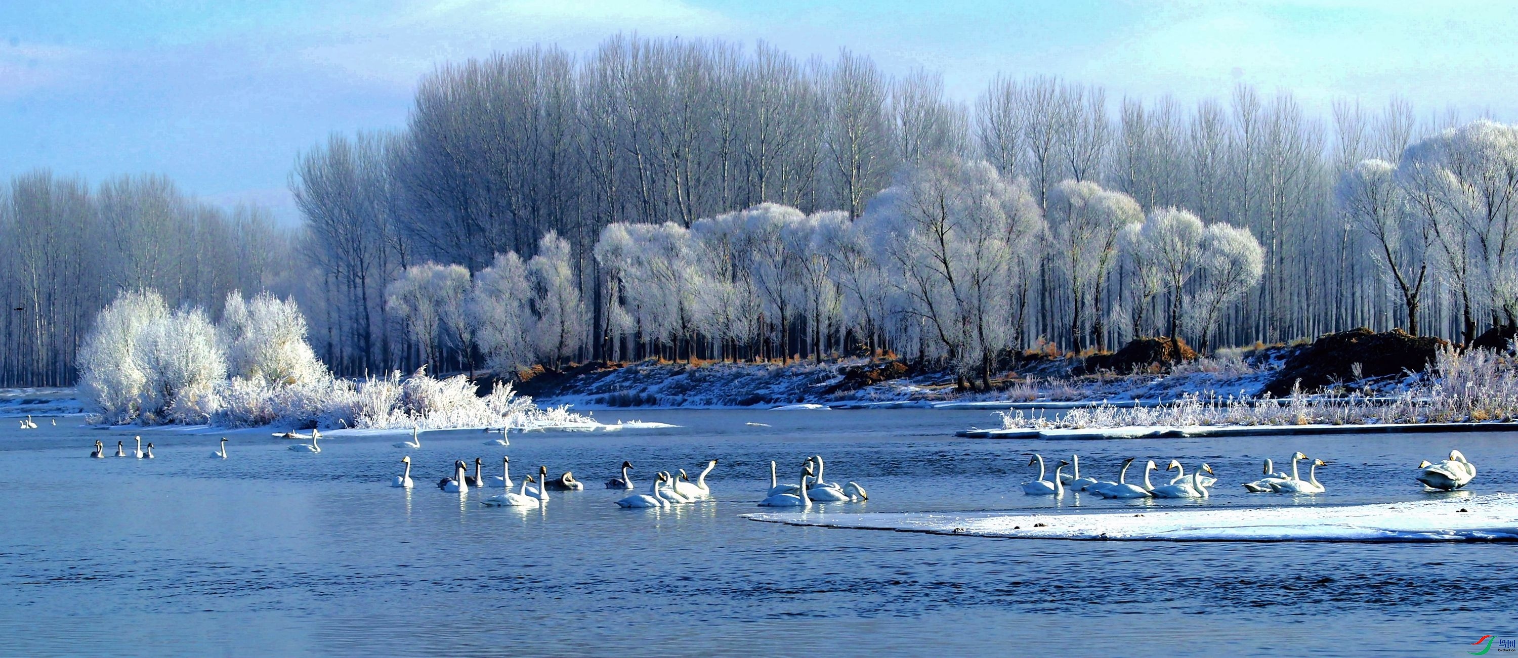 AK2Y6725_3000.jpg