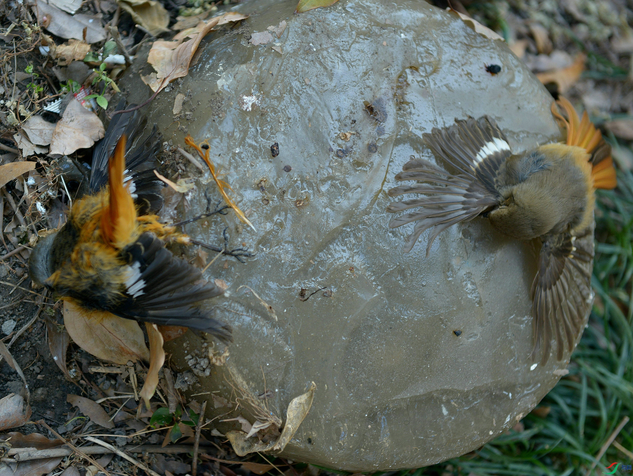 DSC_7144.jpg