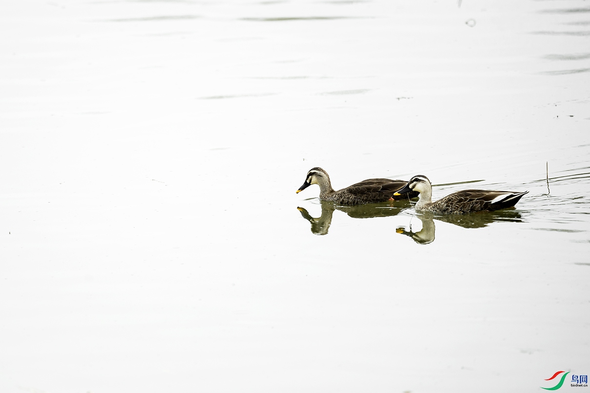 _DSC9959.jpg