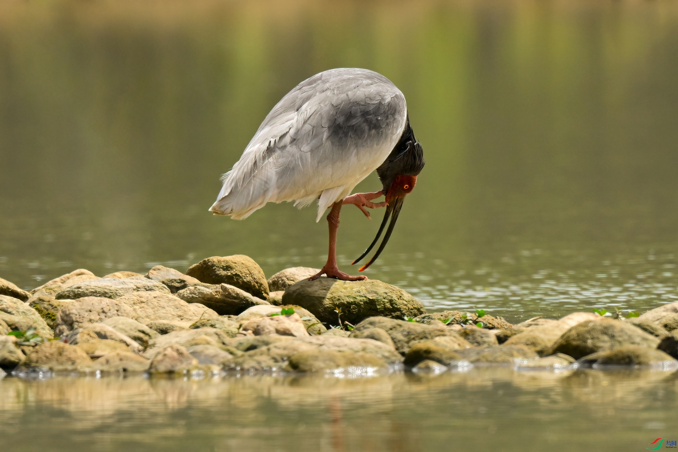 _DSC6812x.jpg