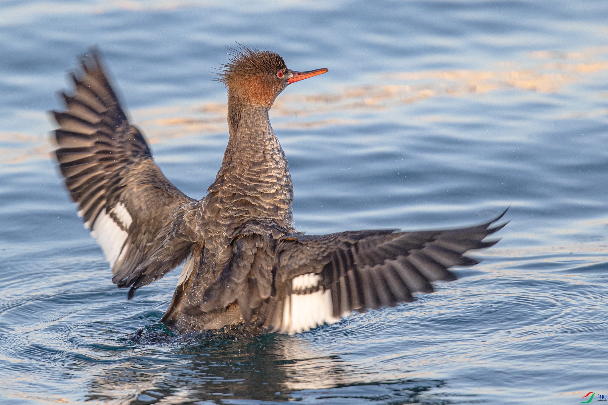 _90I0199 ����.jpg