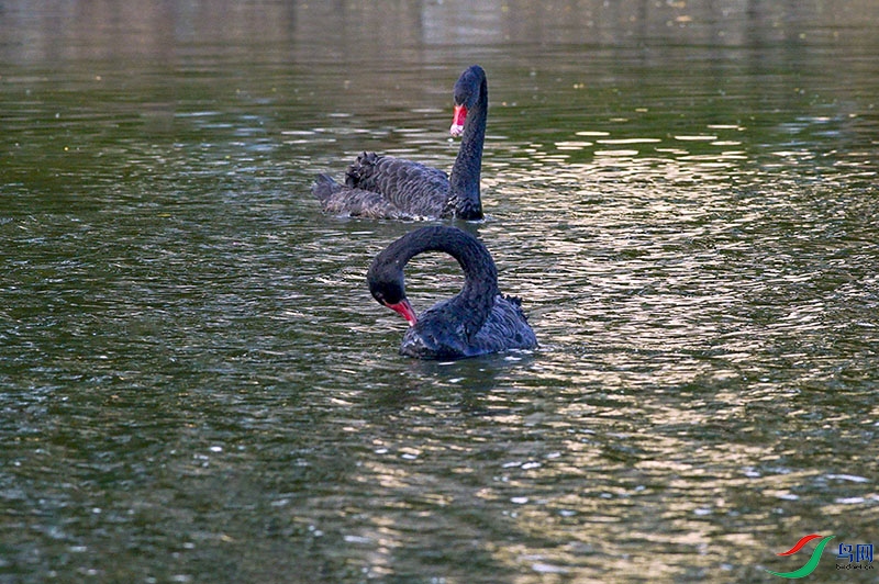 DSC03446-.jpg