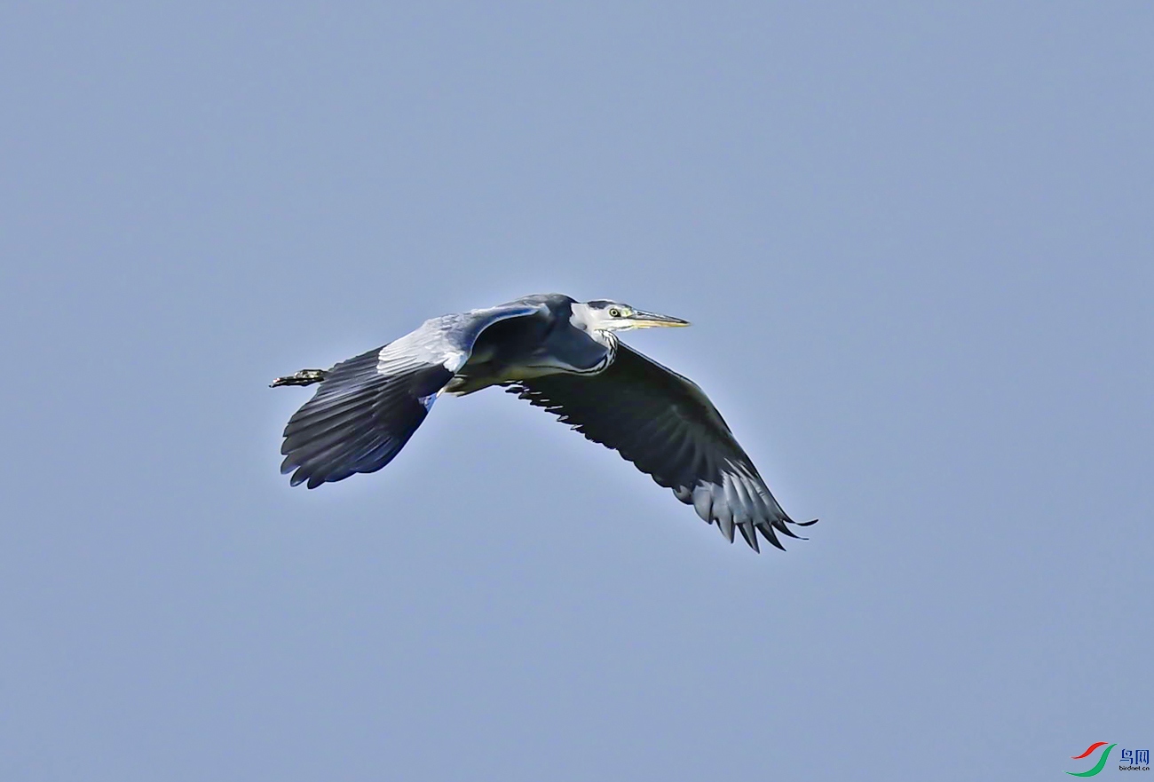 _DSC4501f.jpg