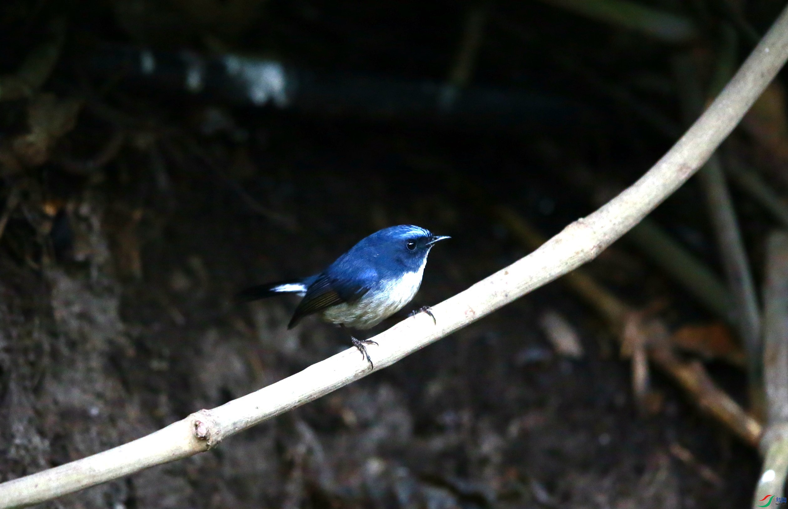 �������l (2).JPG