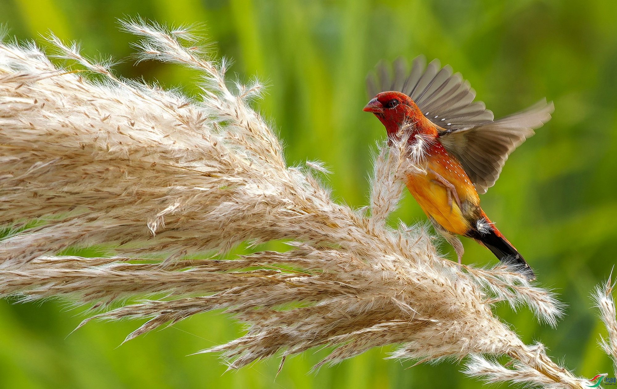 ��÷��ȸjpg (5)-1.jpg