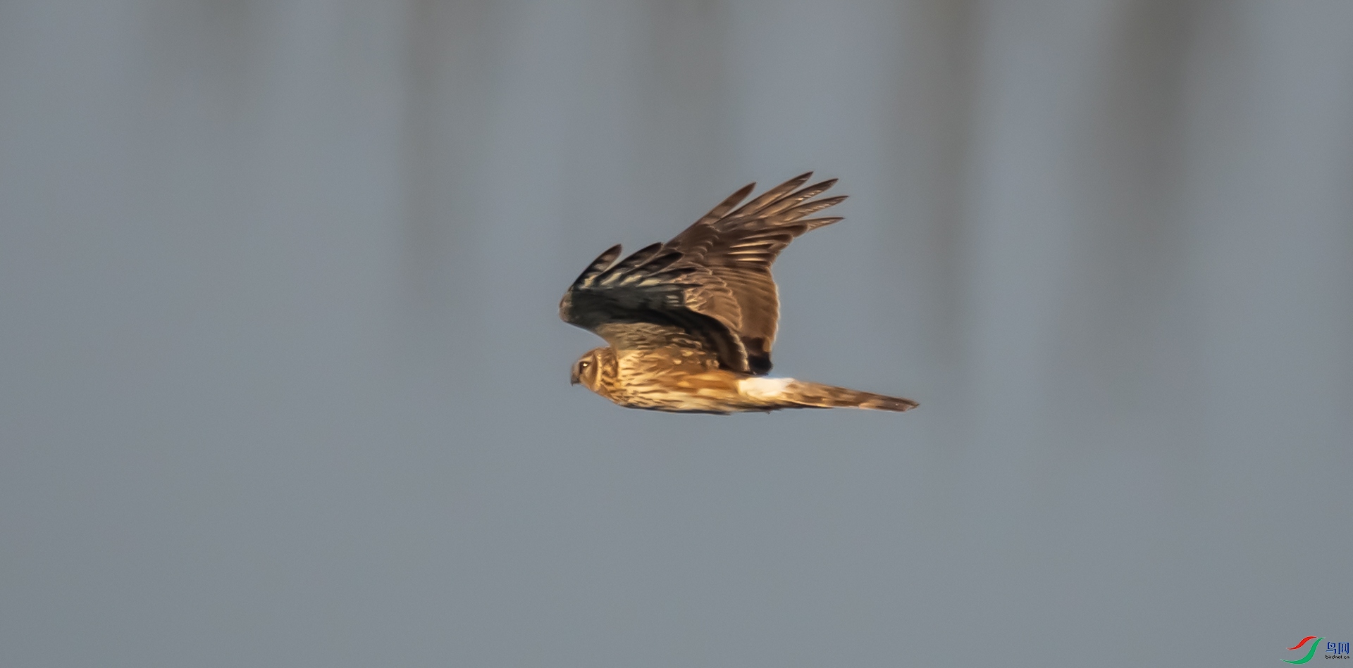 DSC_2582.jpg