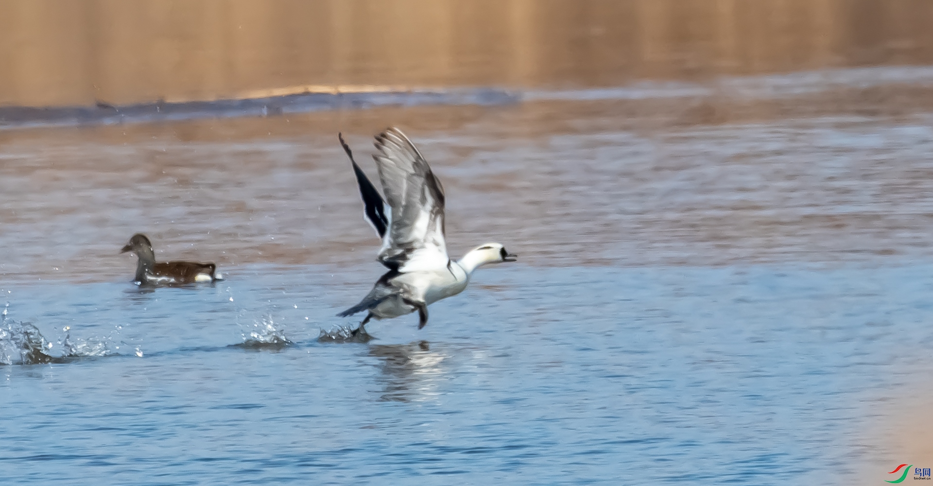 DSC_3295.jpg