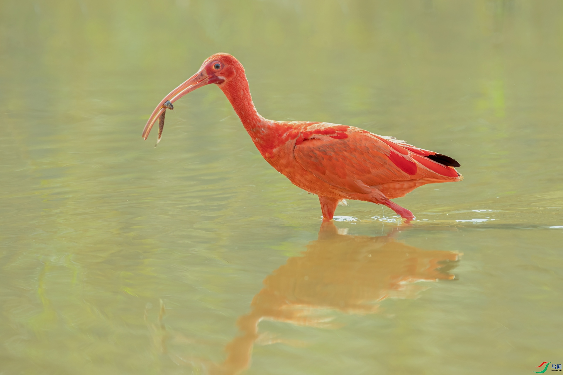 B86I5169 _����.jpg