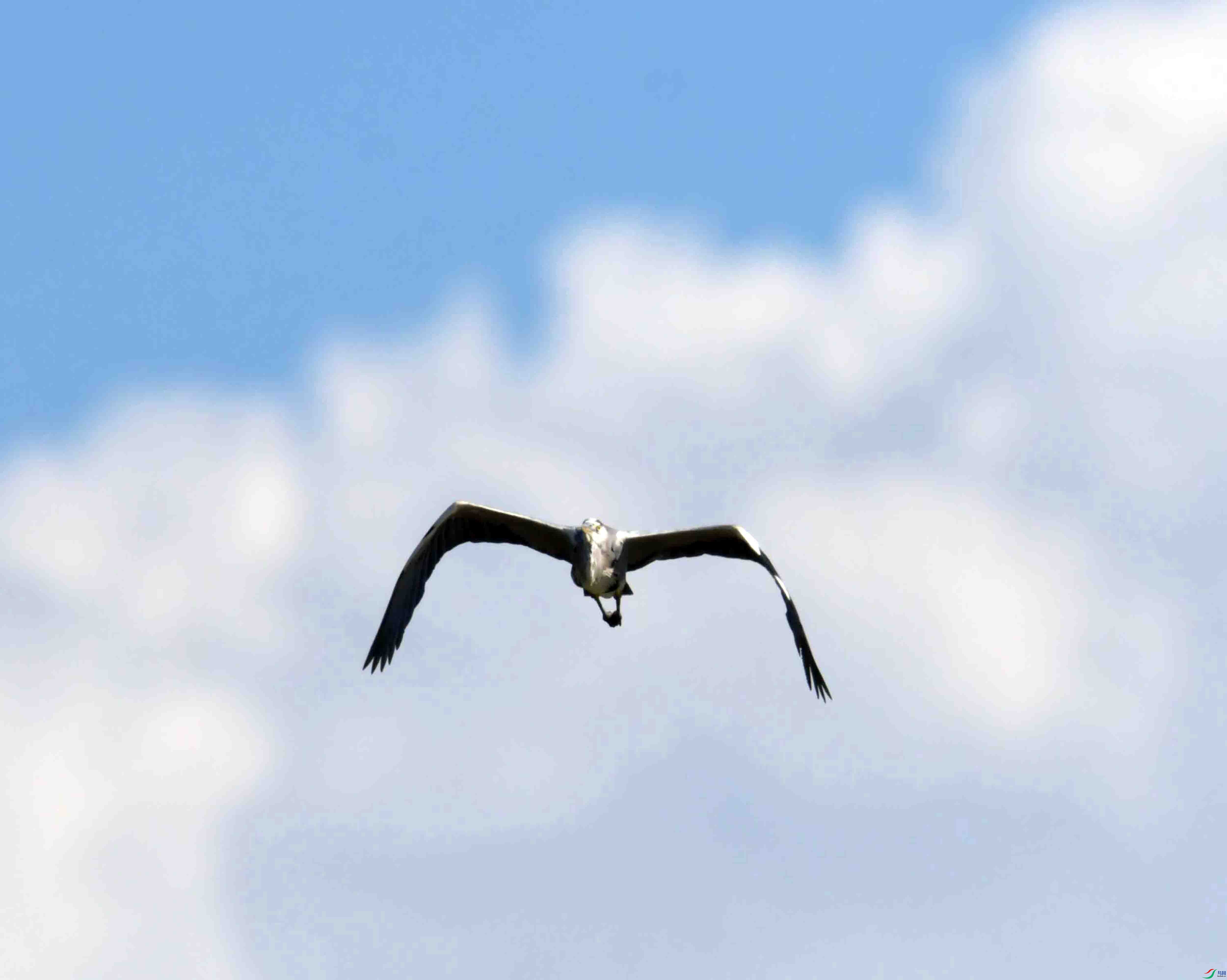 DSC_9632.JPG