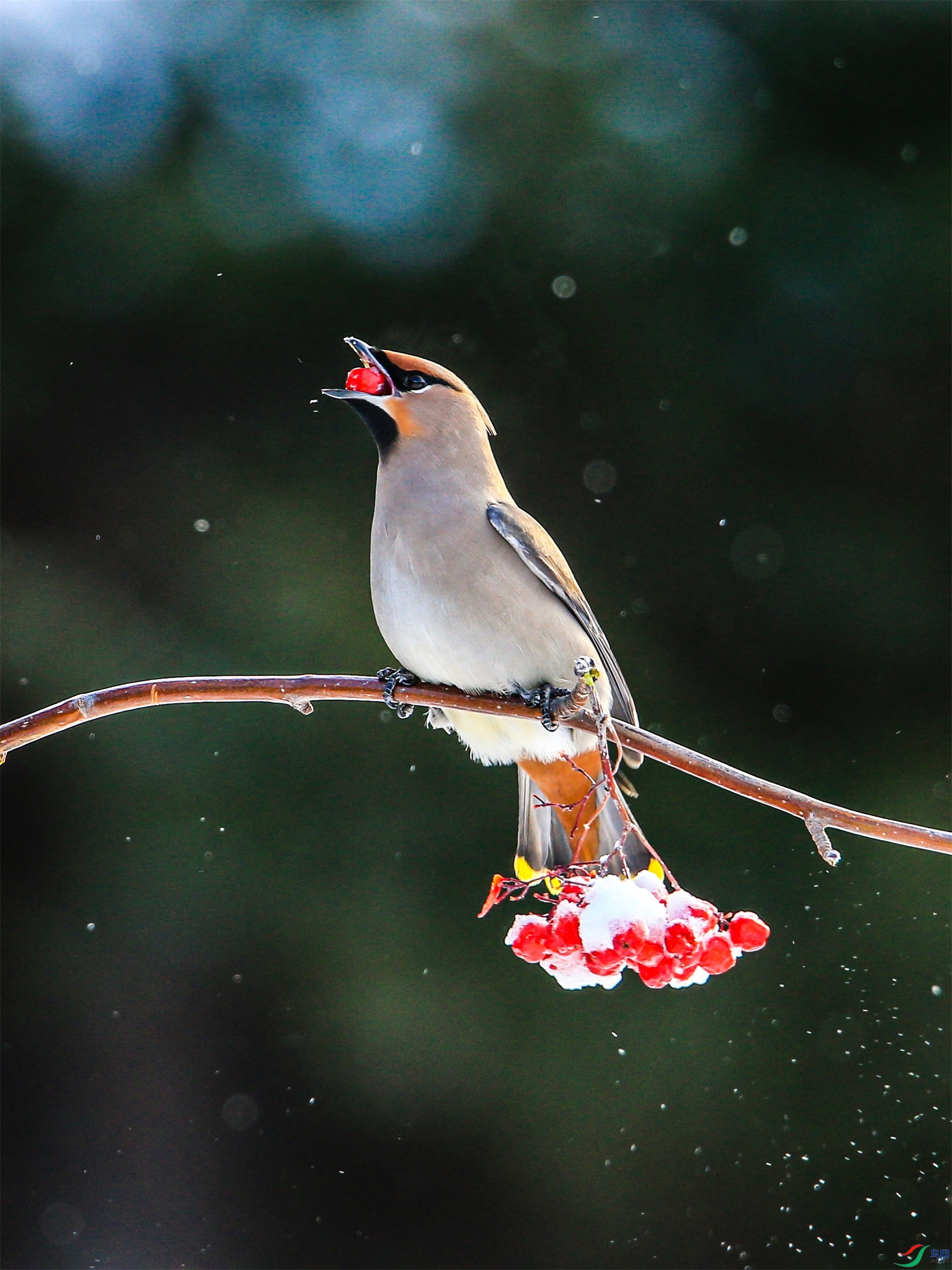 647 ����1.jpg