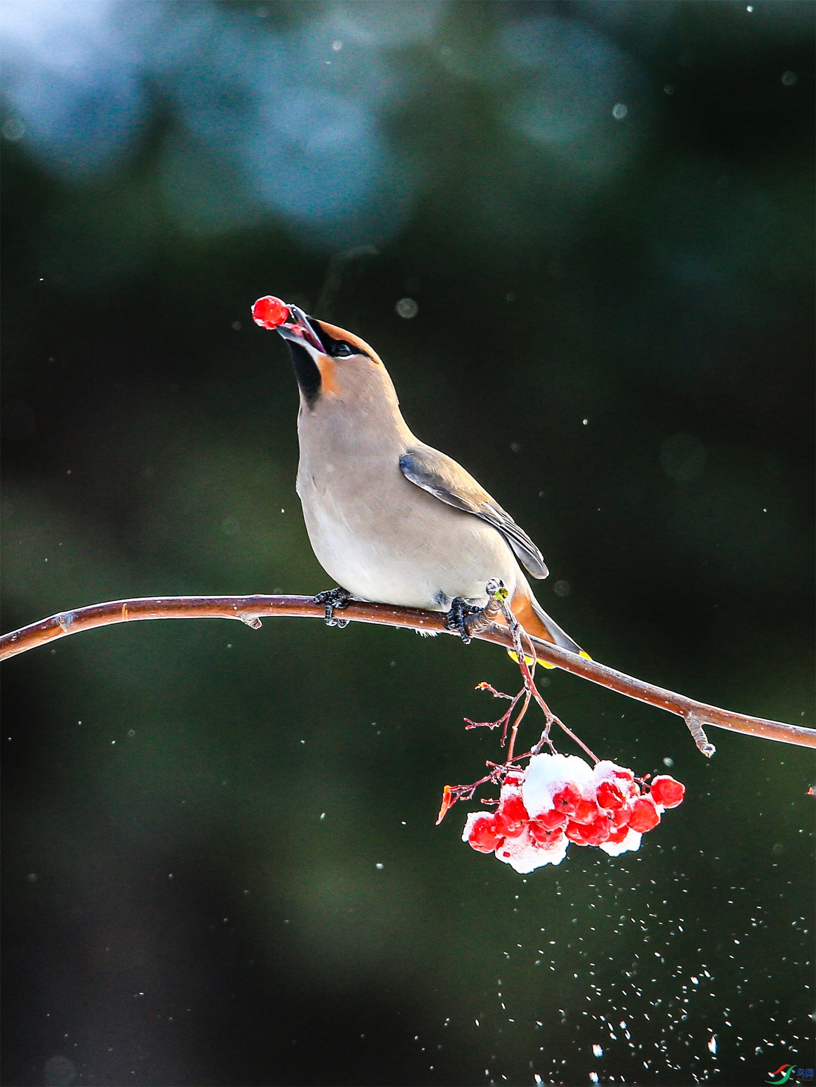 646 ����1.jpg