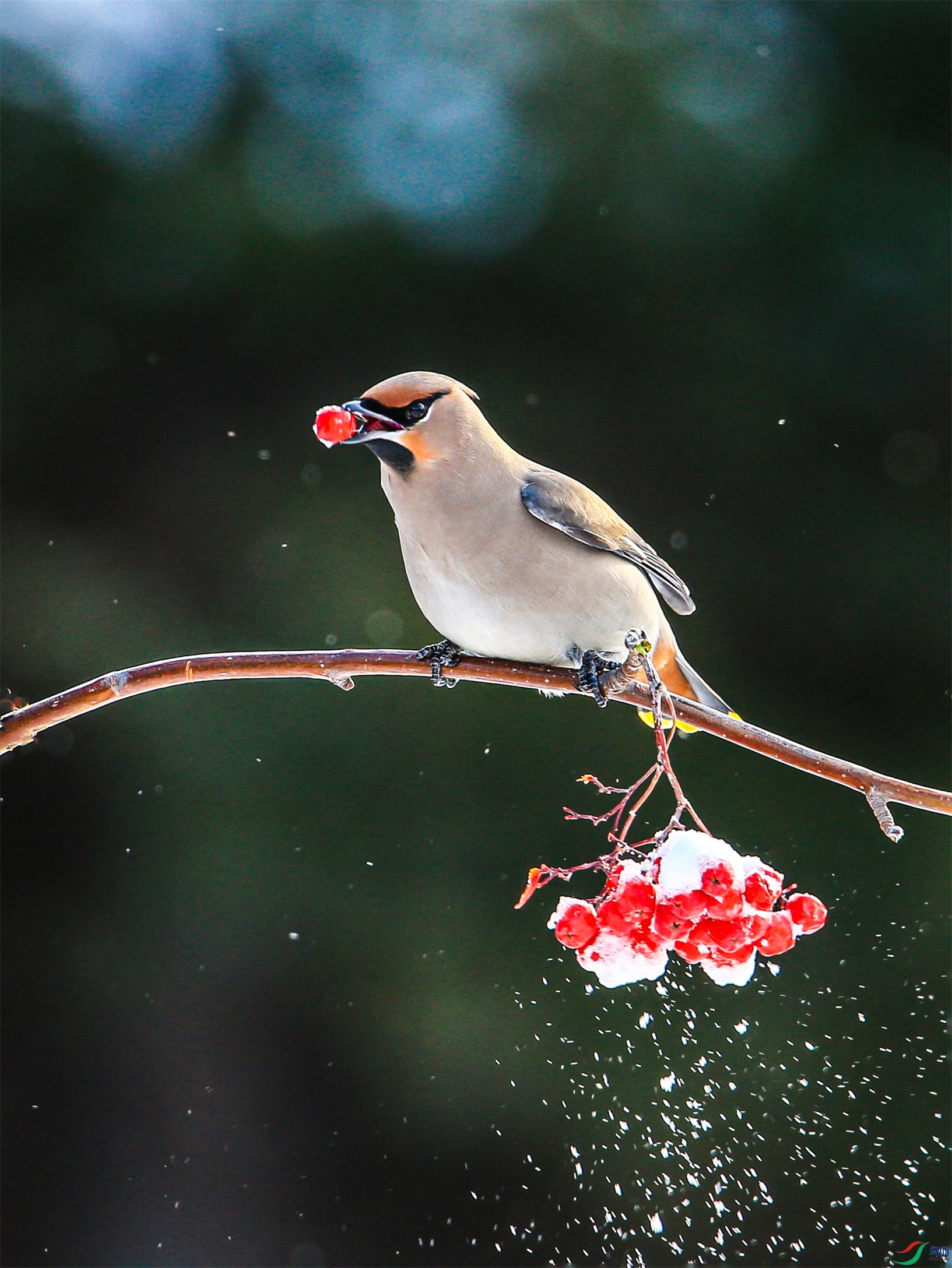 645 ����1.jpg