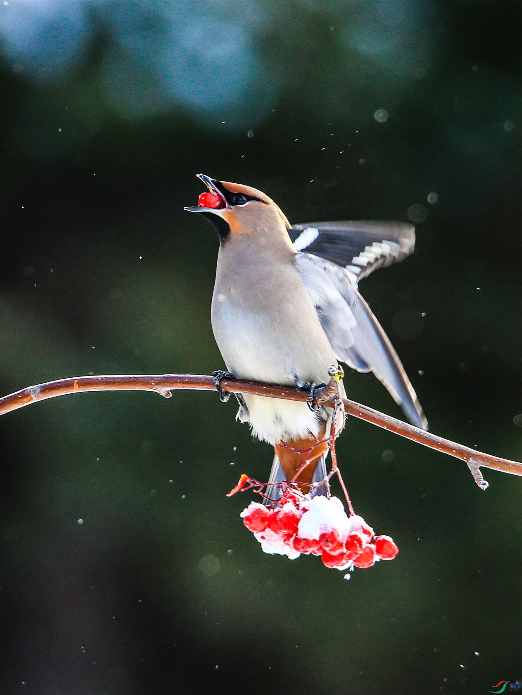 648 ����1.jpg