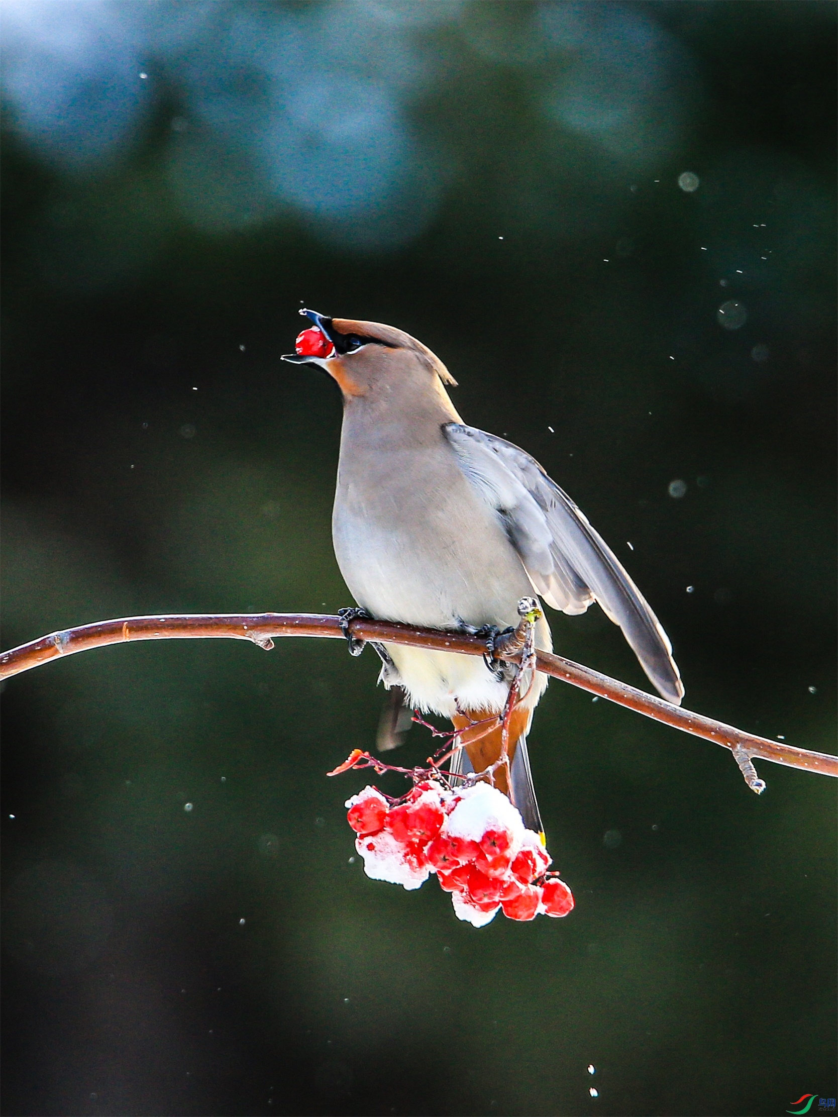 649 ����1.jpg