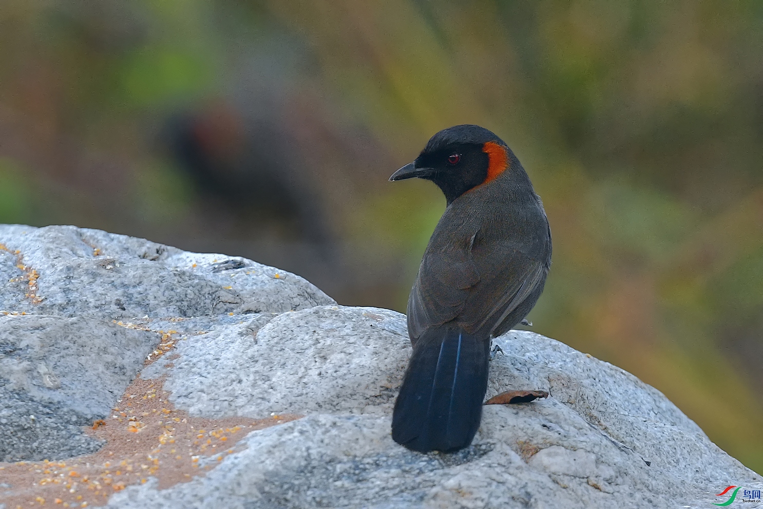 5DSC_7169_DxOa.jpg