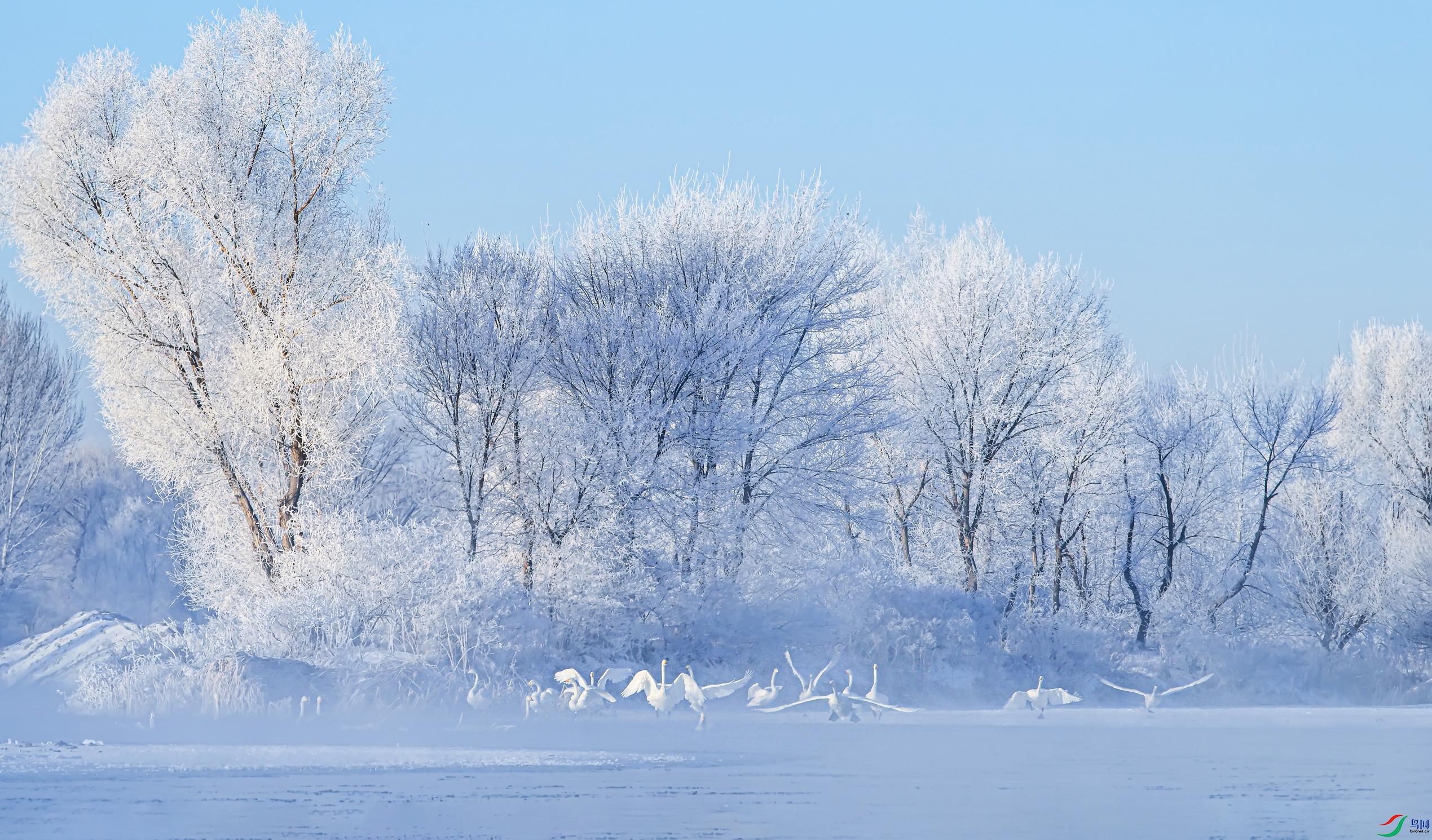 DSC_4298--1--.jpg