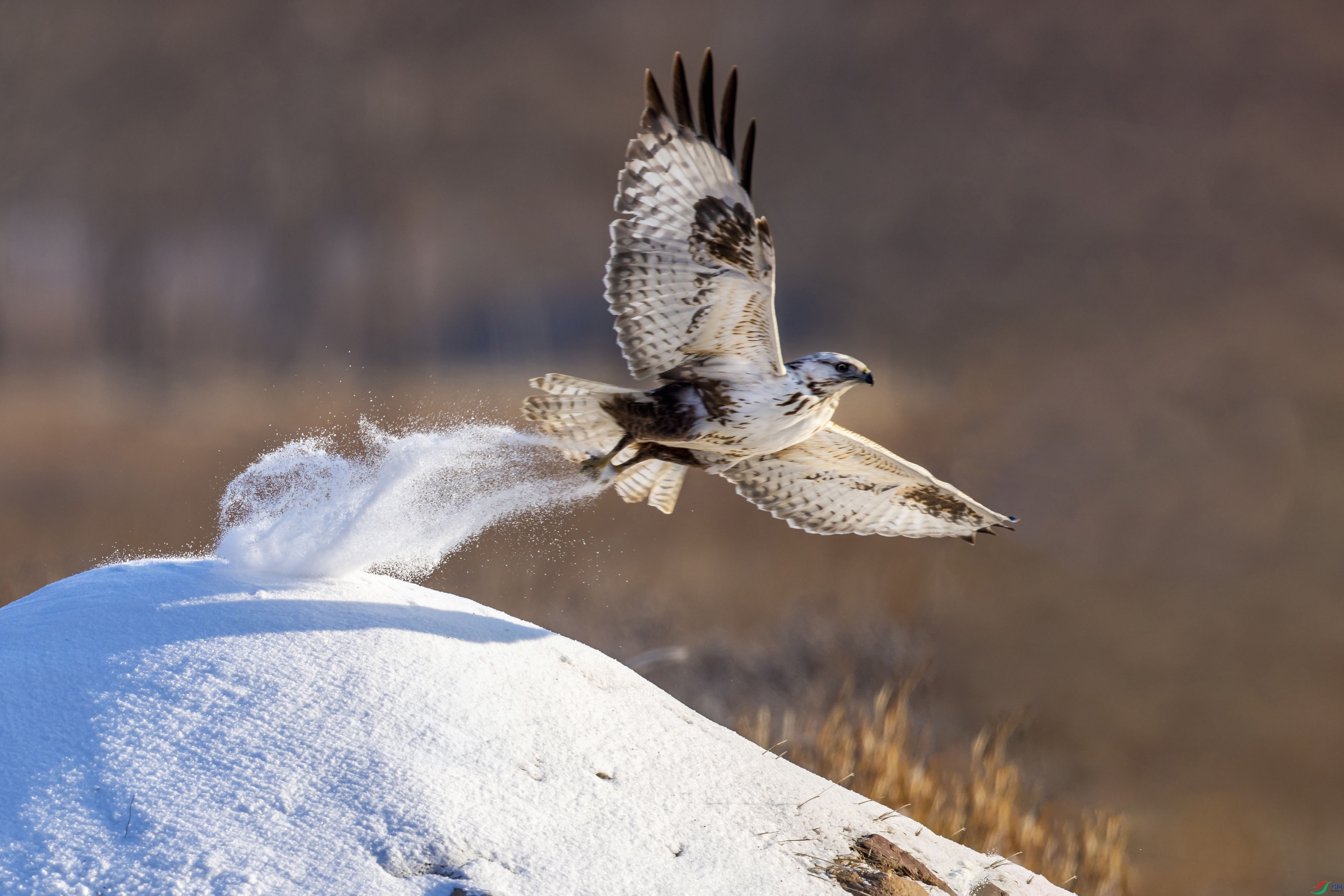 AN4I5516 ���� 4.jpg