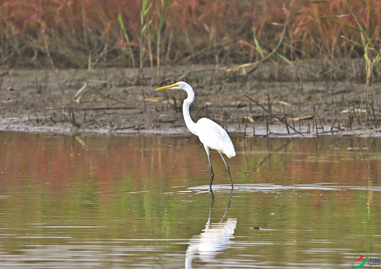_DSC3684f.jpg